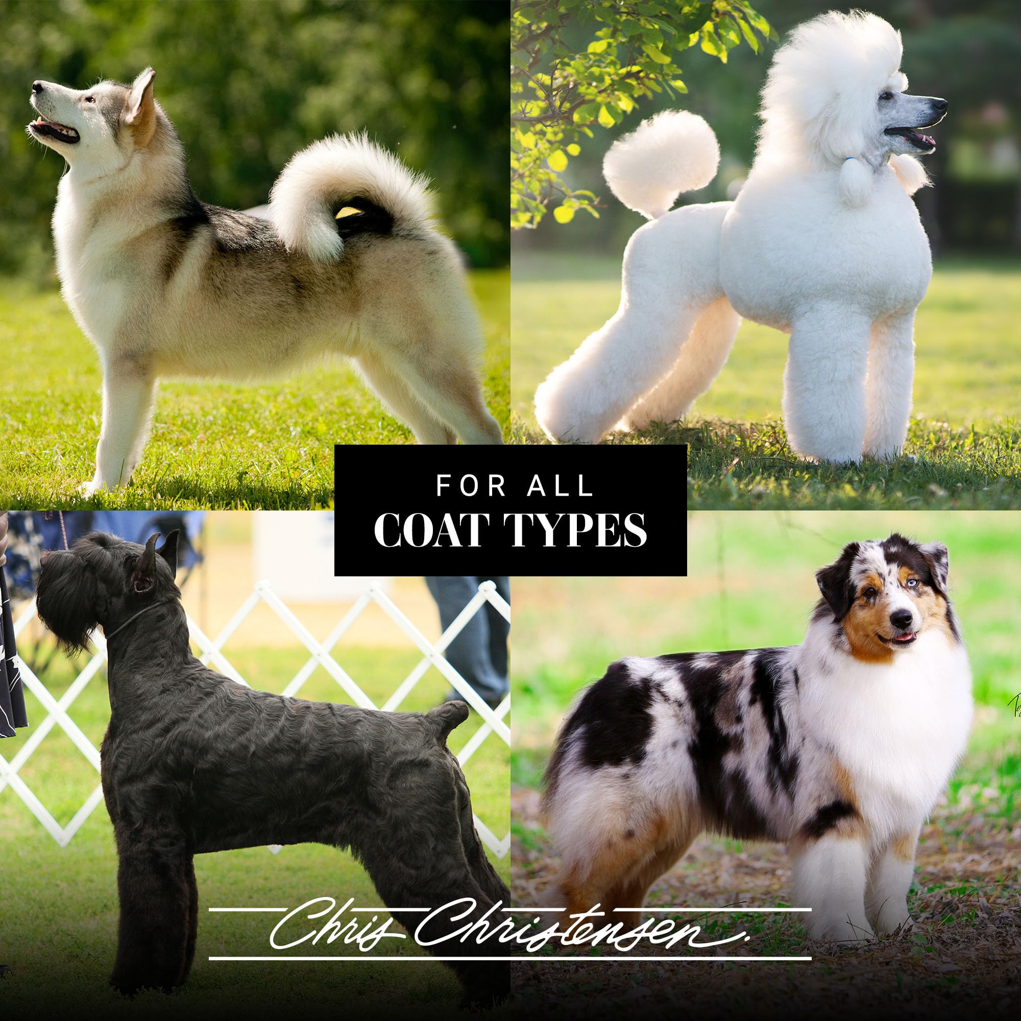 Terrier Palm Pad-Chris Christensen