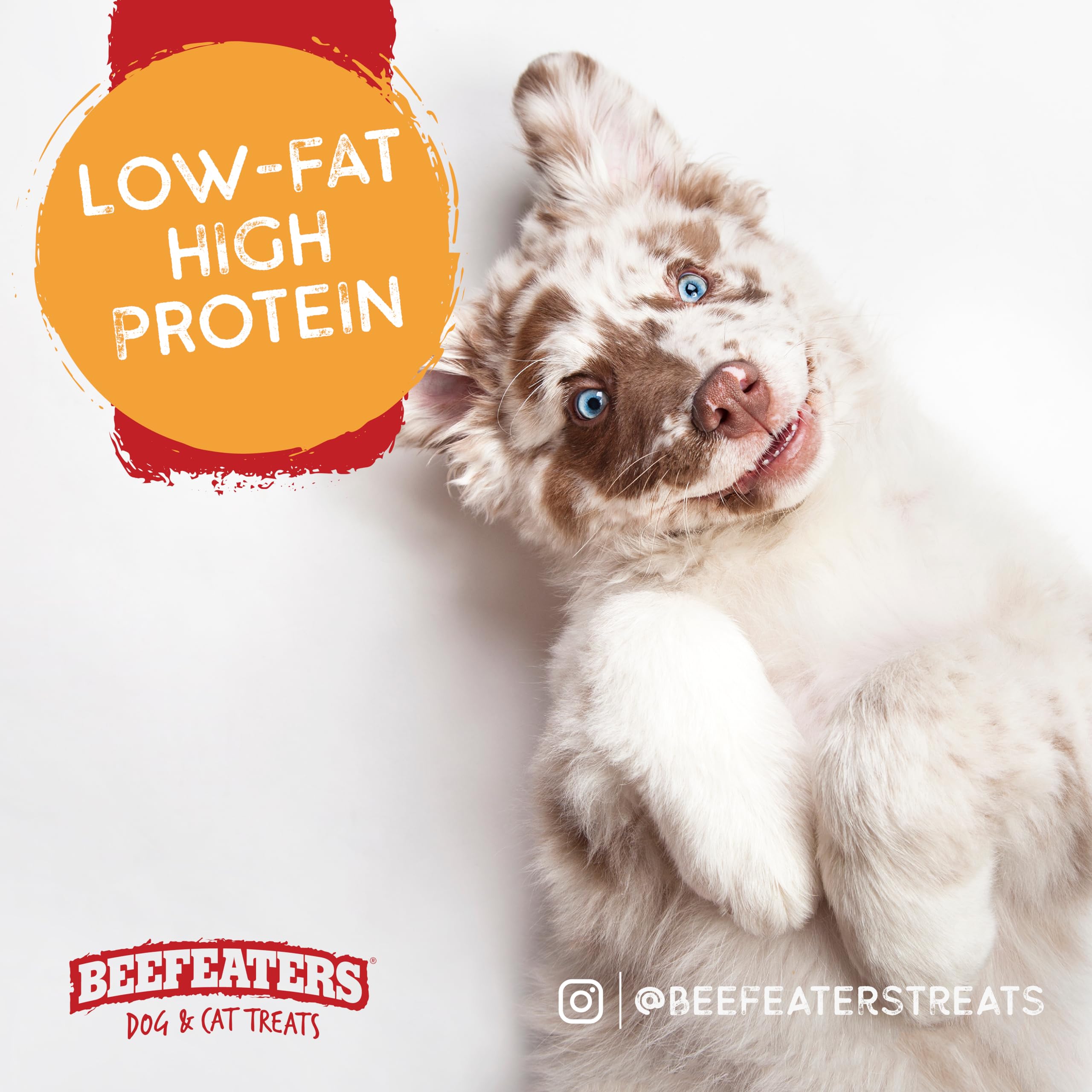Beefeaters Sweet Potato Wrap with Chicken 40oz - Dog Treat. No Corn, Wheat, Soy or Gluten, Low Fat, Whole Muscle Jerky, Ideal fo