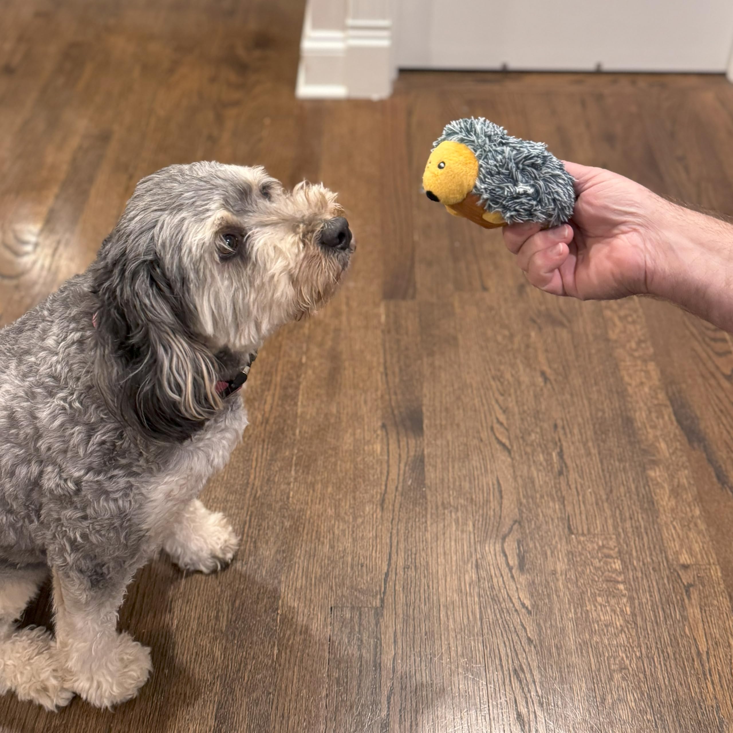 Spot Butterballs Forest Animals Dog Toy-Soft, Stuffed, Squeaky, Plush Fabric Toy For Mini And Small Dogs And Puppies, Enrichment For Light Chewers And Cuddlers, 4In, Assorted Styles, 1 Piece