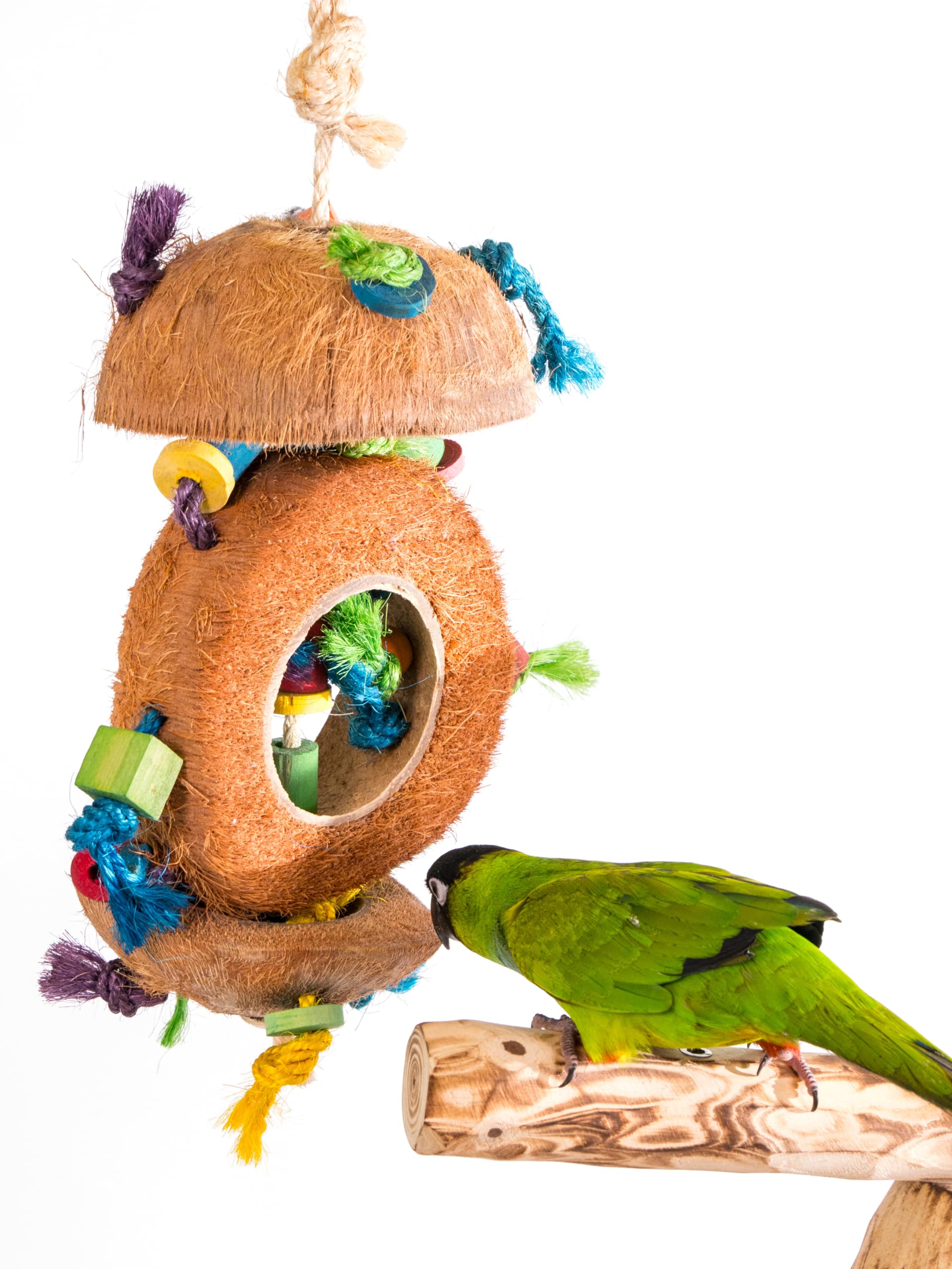 Penn-Plax Ba1870 Coconut Kabob With Wood & Sisal Pet Collar