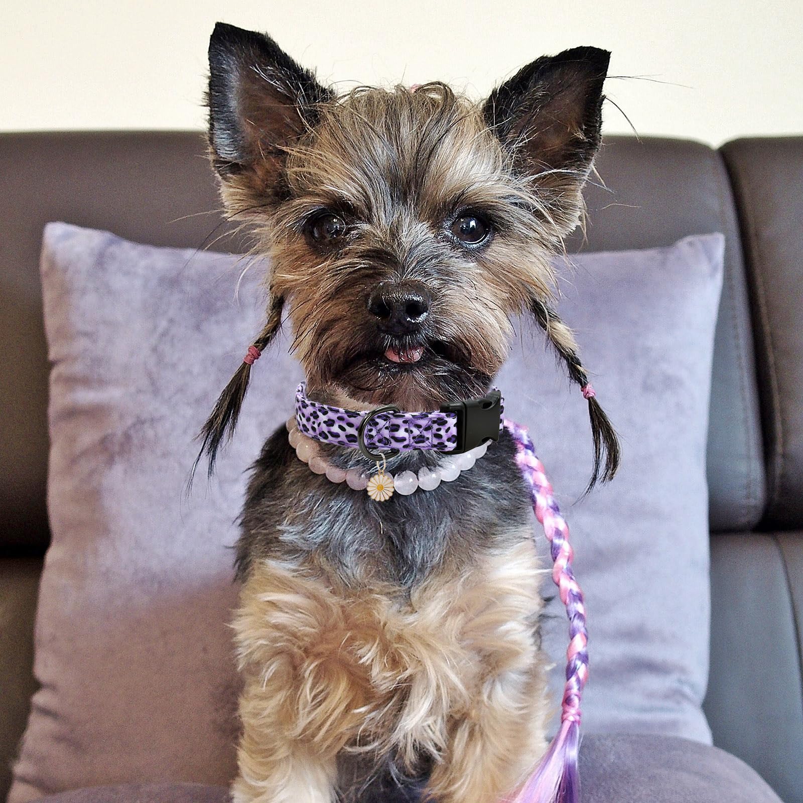 Leopard Patterns Dog Collar With Pendant, Durable And Soft Cotton Dog Collars For Small Large Female And Male Dogs Pets (Purple