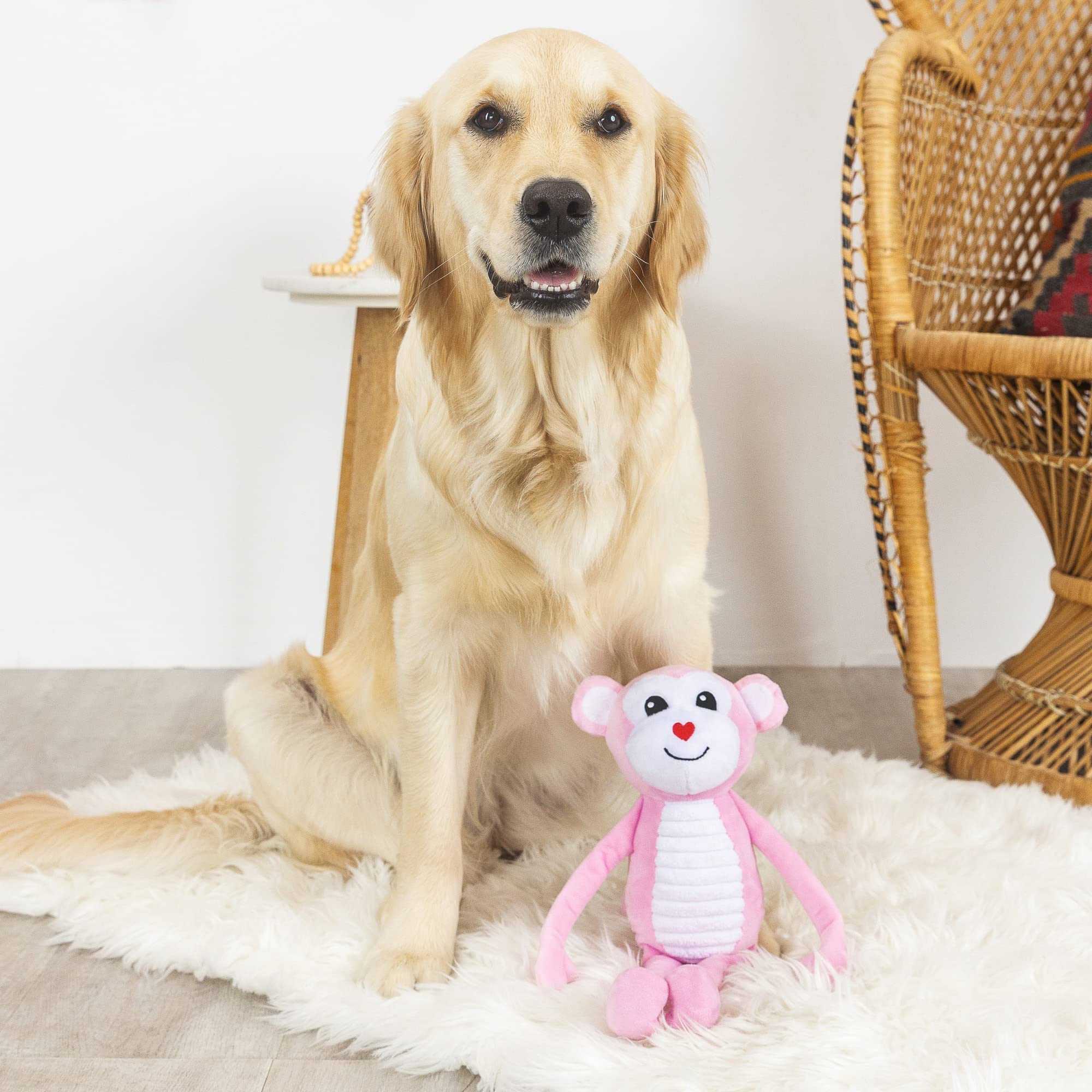 Fringe Studio Plush Dog Toy, Monkey Love, Petshop Collection (314119)