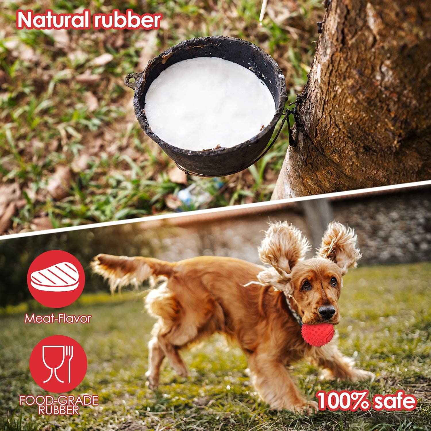 Petizer 4' Squeaky Dog Balls For Aggressive Chewers, Durable Interactive Dog Chew Toys For Teething, Floatable Indestructible Rubber Spiky Ball, Tough Pet Toys For Small, Medium & Large Breeds