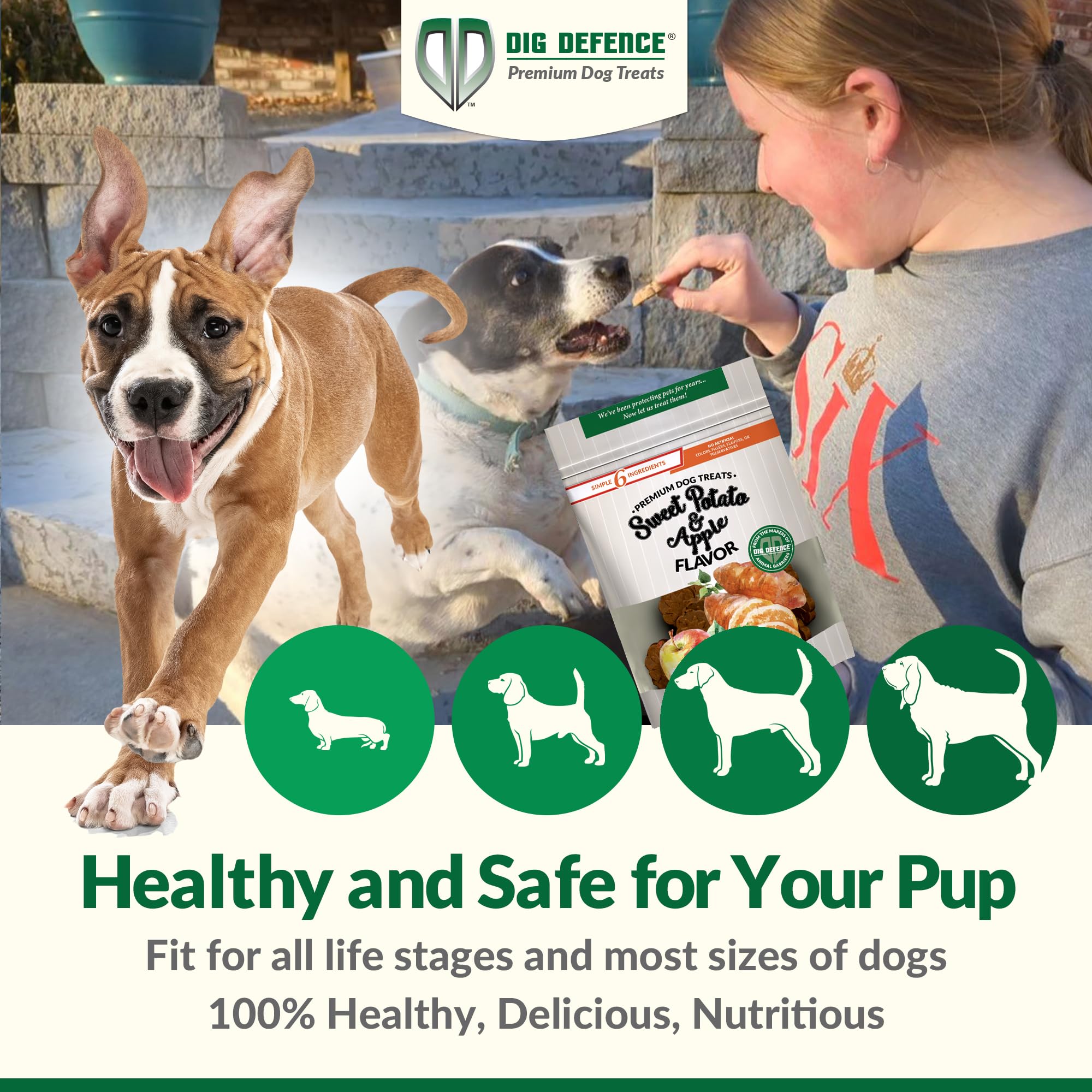 Dig Defence Premium Dog Treats - Pumpkin/Green Pea and Sweet Potato/Apples, Natural Ingredients, Baked Gourmet Snacks for Small