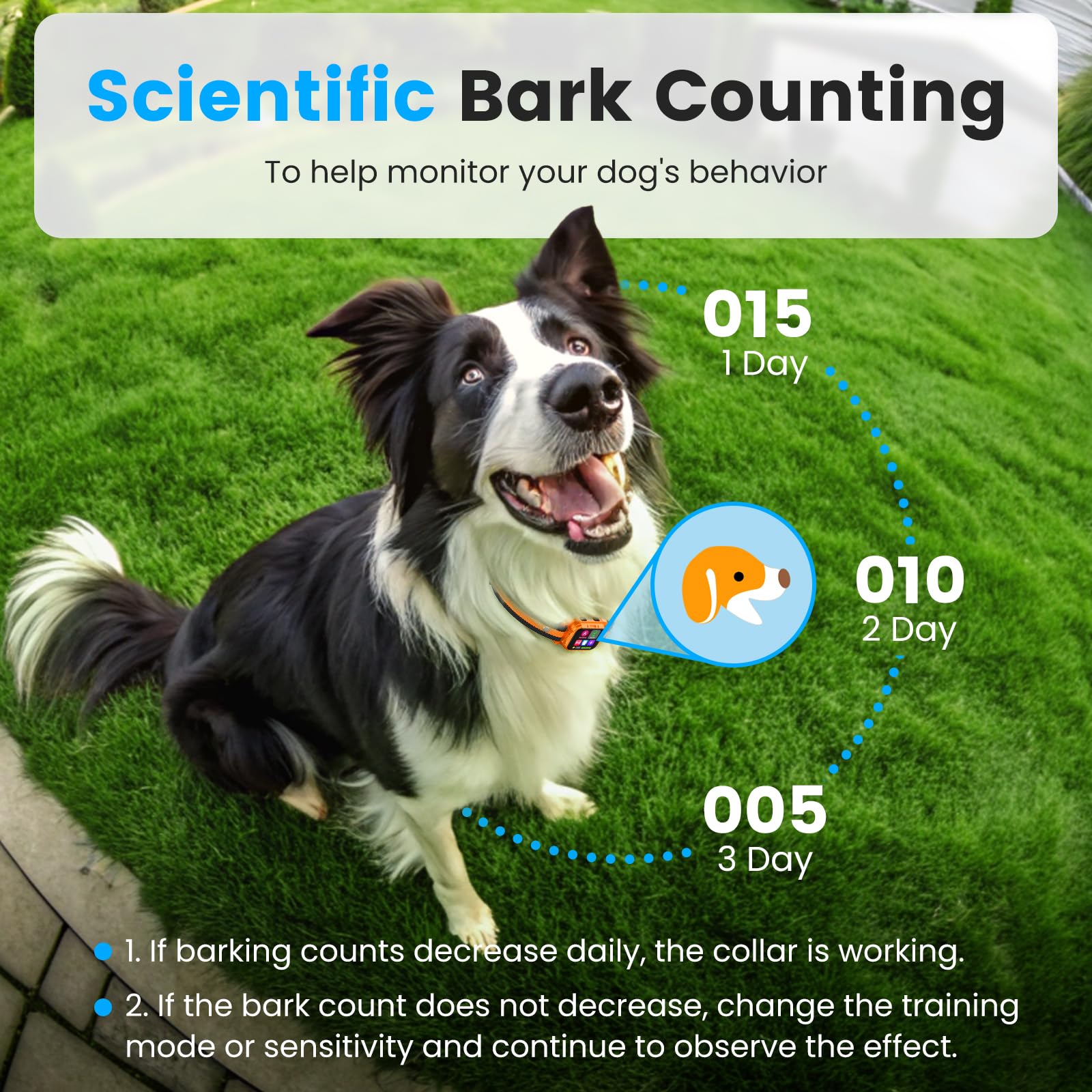 Skbak Dog Bark Collar - For Large Medium Small Dogs, Rechargeable Smart Bark Collar, Anti Barking Device For Large Dogs, Dog Tra