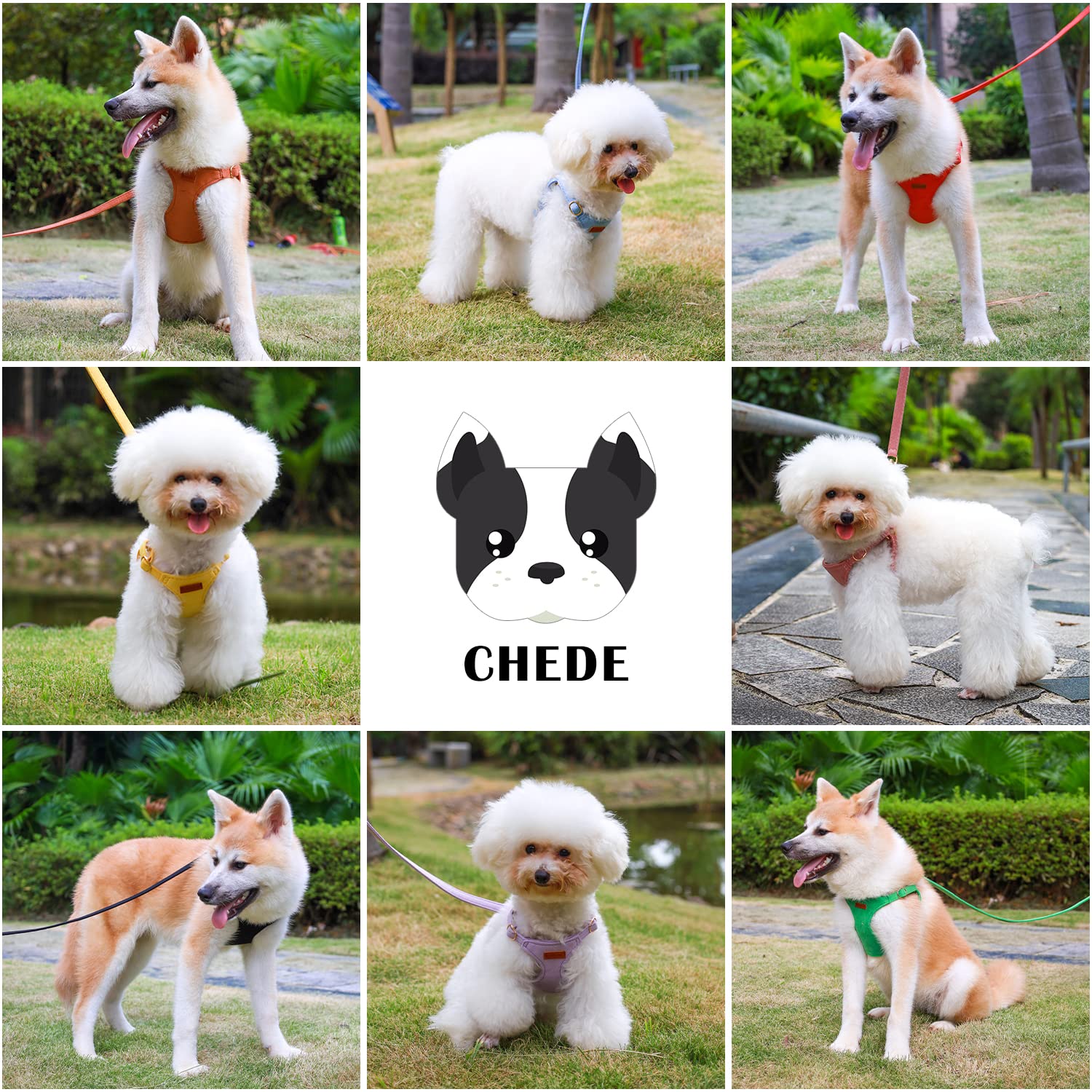 Chede No Pull Puppy Harness And Multifunction Dog Leash Set- 8 Colors Soft Adjustable No Choke Escape Proof Cute,Lightweight Pet Vest Harness For Small And Medium Dog (Xxs, Green)