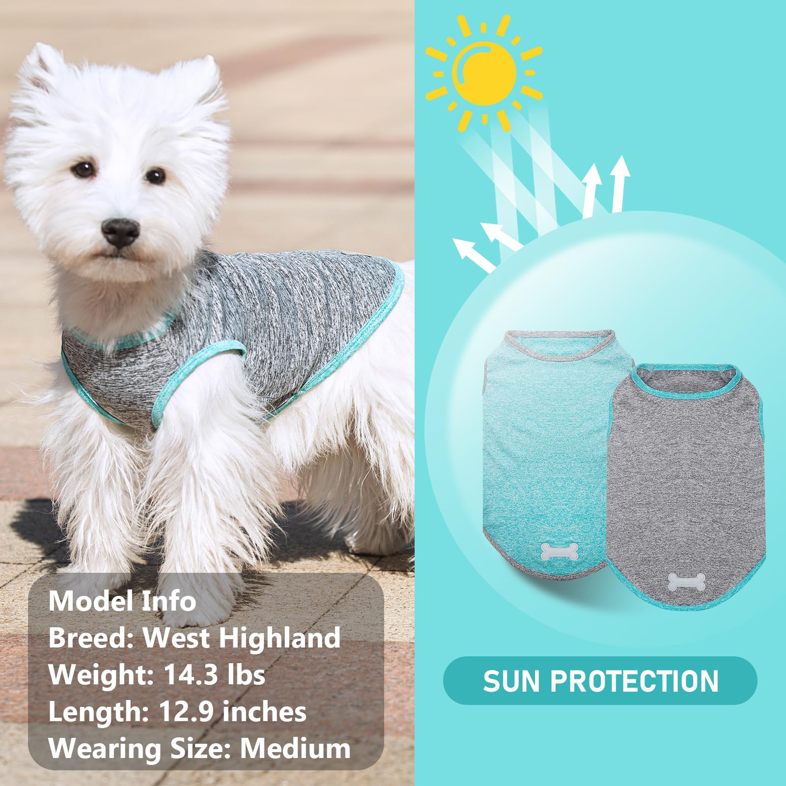 KYEESE Dog Shirts 2 Pack - Quick Dry Soft Stretchy T-Shirts, Sun Protection, Small (4-7lbs), Grey & Blue
