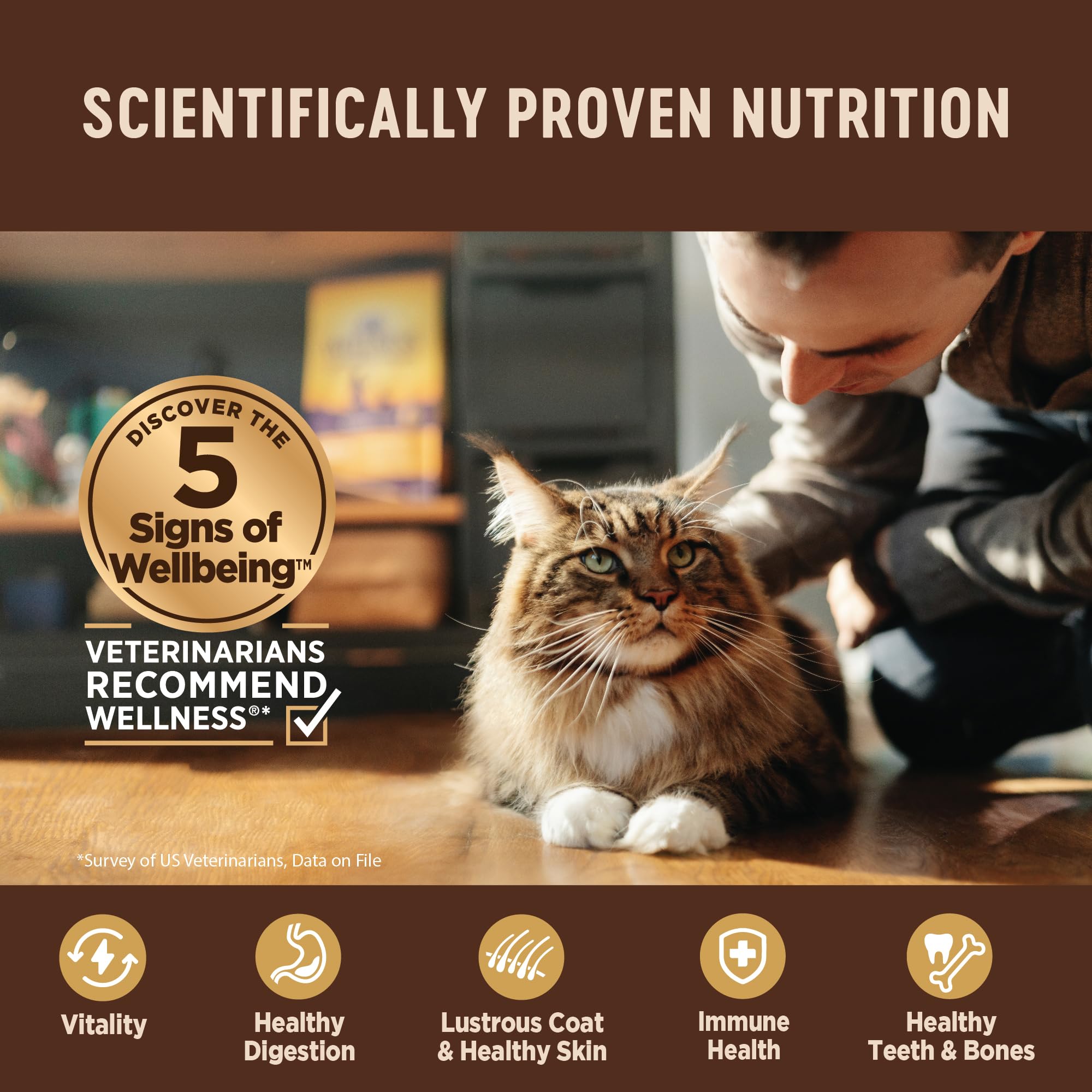 Wellness CORE Grain-Free Wet Cat Food, Natural Canned Food for Cats, Made with Real Meat (Whitefish, Salmon & Herring, 5.5 oz Ca