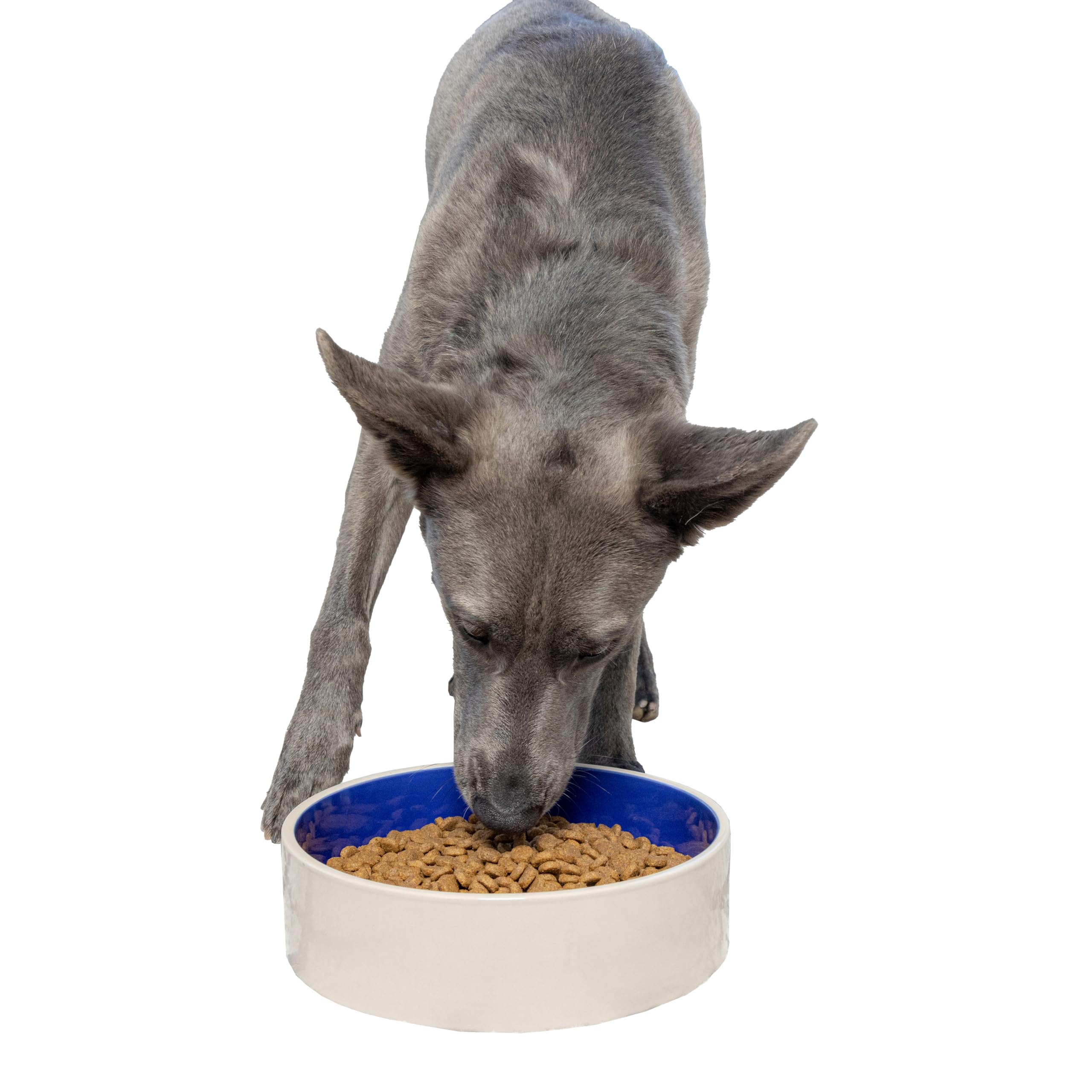 SPOT Standard Crock Dish - Heavy Duty, Non-Slip, Round Ceramic Food/Water Bowl for Pets, Ideal for Medium to Large Dogs or Multi