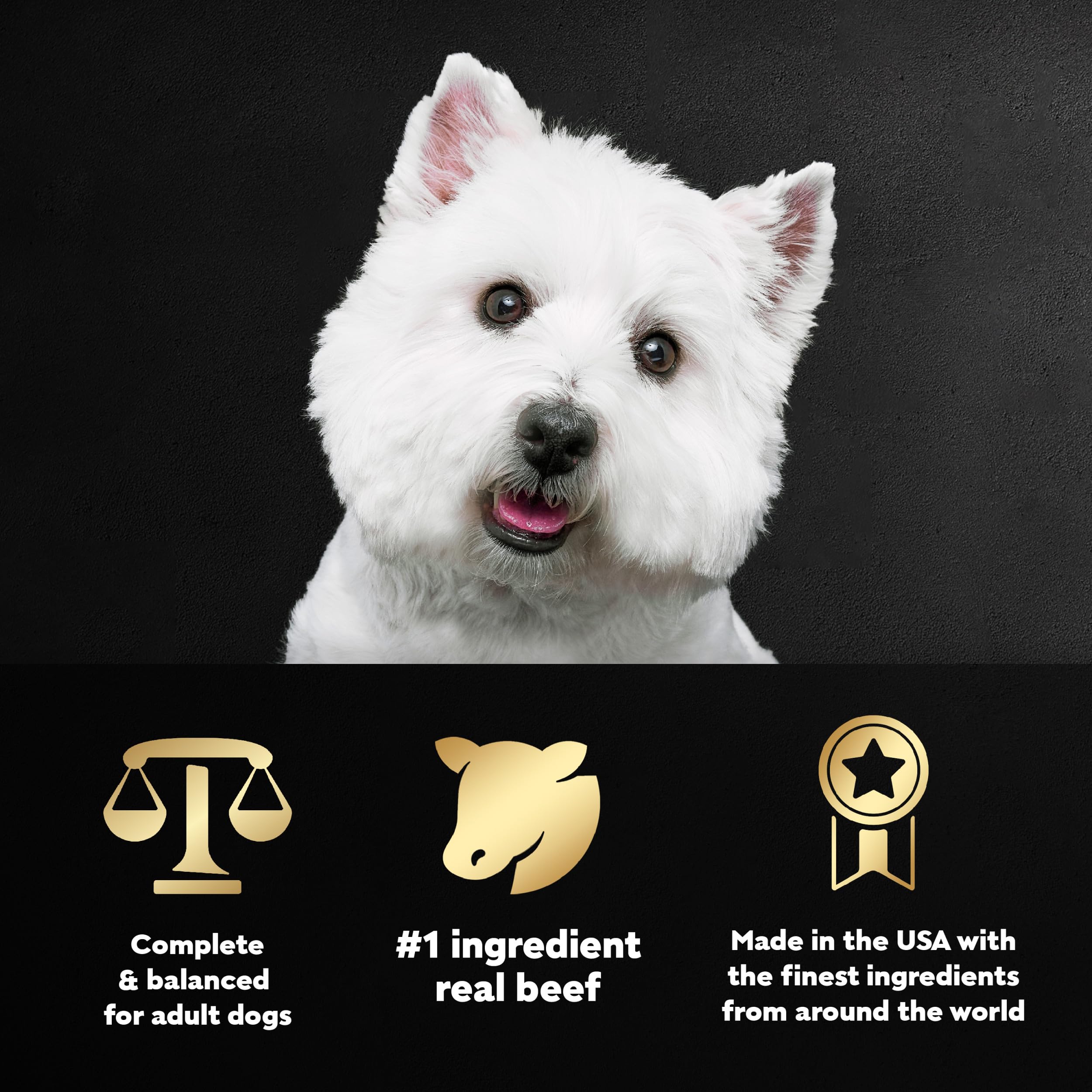 Cesar Filets in Gravy Adult Wet Dog Food, Prime Rib Flavor, 3.5 oz. (24 Count, Pack of 1)