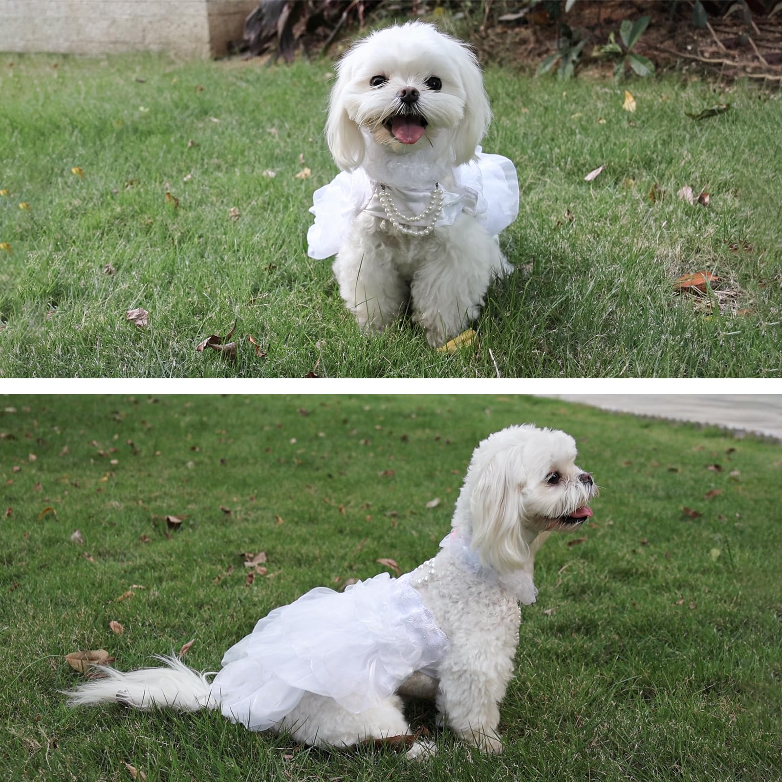 Shiaomin Dog Wedding Dress Bride Outfit With Pearl Necklace And Rose Pet Princess Dress Apparel For Puppy Dog Cat (Small)