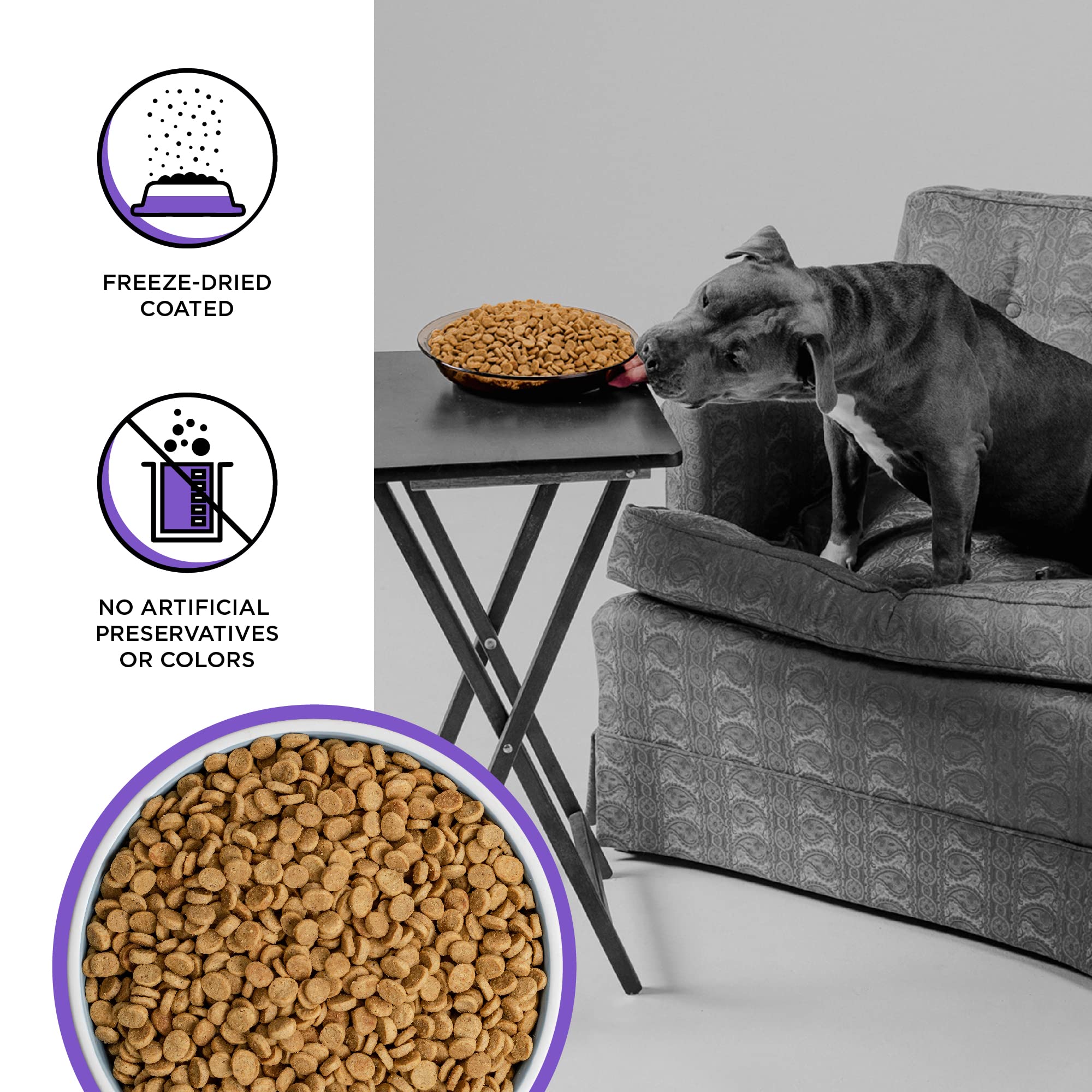 BIXBI Rawbble Dry Dog Food, Lamb, 24 lbs - USA Made with Fresh Meat - No Meat Meal & No Corn, Soy or Wheat - Freeze Dried Raw Co