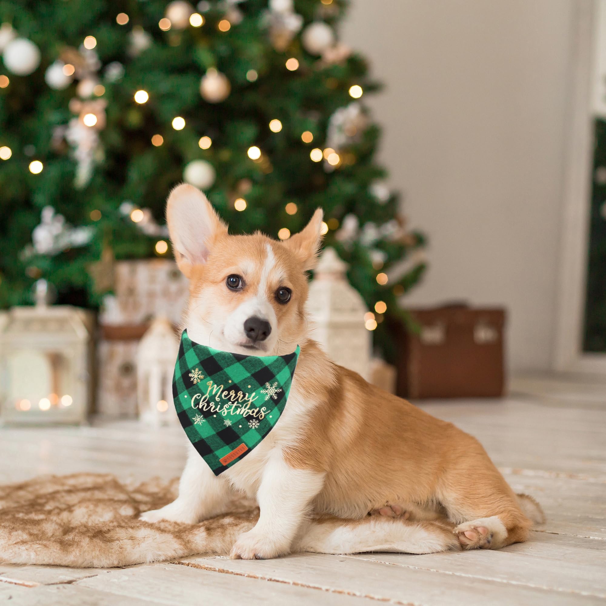 Adoggygo 2 Pack Christmas Dog Plaid Bandana Triangle Bib Set Pet Scarf Accessories For Medium Large Dogs Pets (Christmas-2, Large)