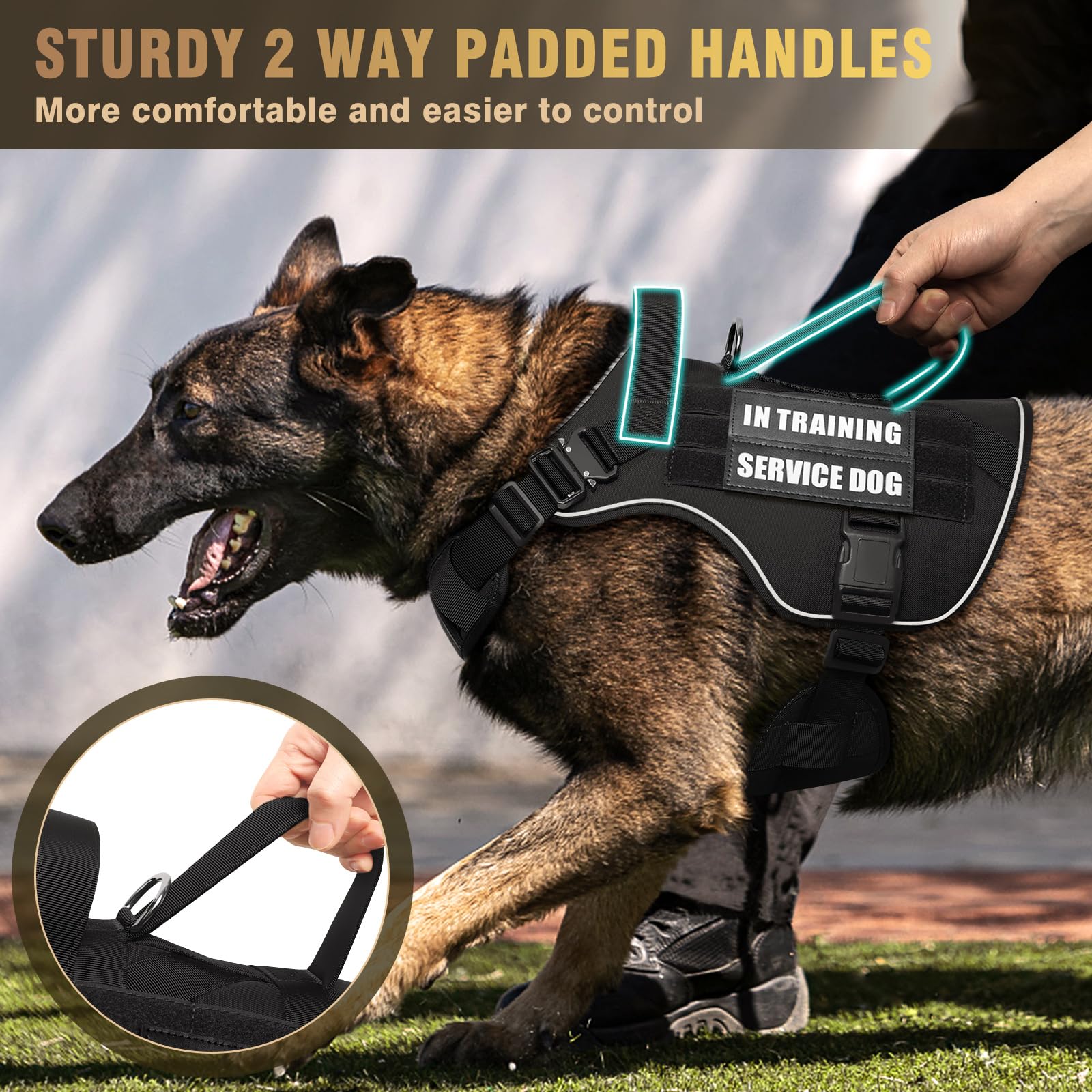 WINSEE Tactical Dog Harness, Heavy Duty MOLLE Vest, No Pull, X-Large, Black, Includes 10 Pet Patches for Training & Walking