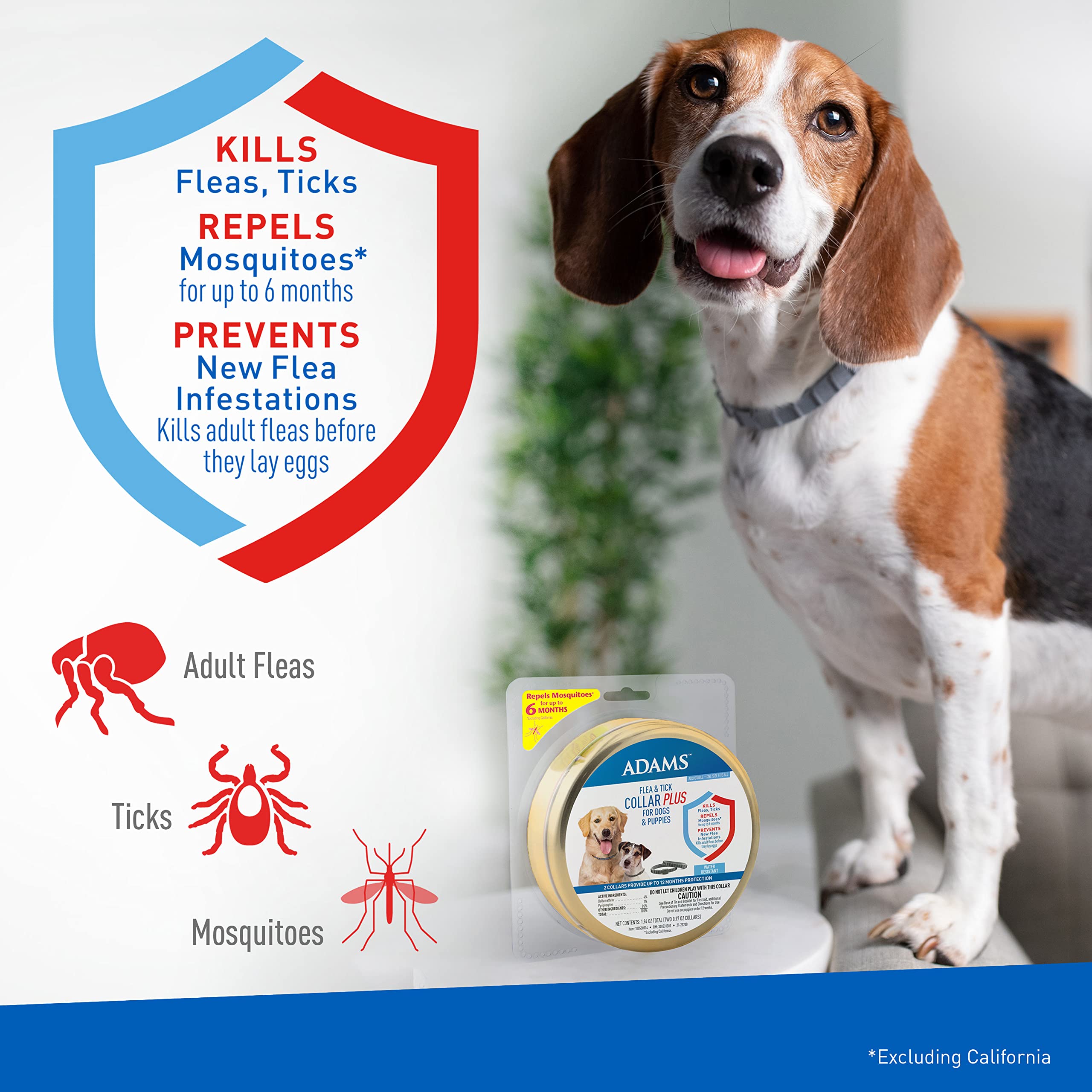 Adams Flea & Tick Collar Plus for Dogs & Puppies, 2 Pack, 12 Month Protection, Adjustable Grey PVC