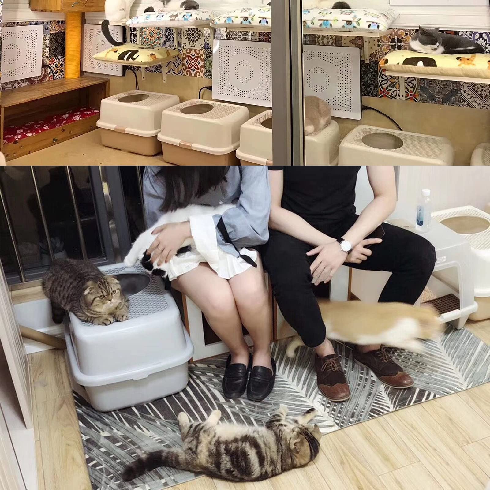Smart Paws Covered Litter Box For Cats - Enclosed Design With Odor Control, No Mess, Easy Clean, Large Size For Multiple Cats