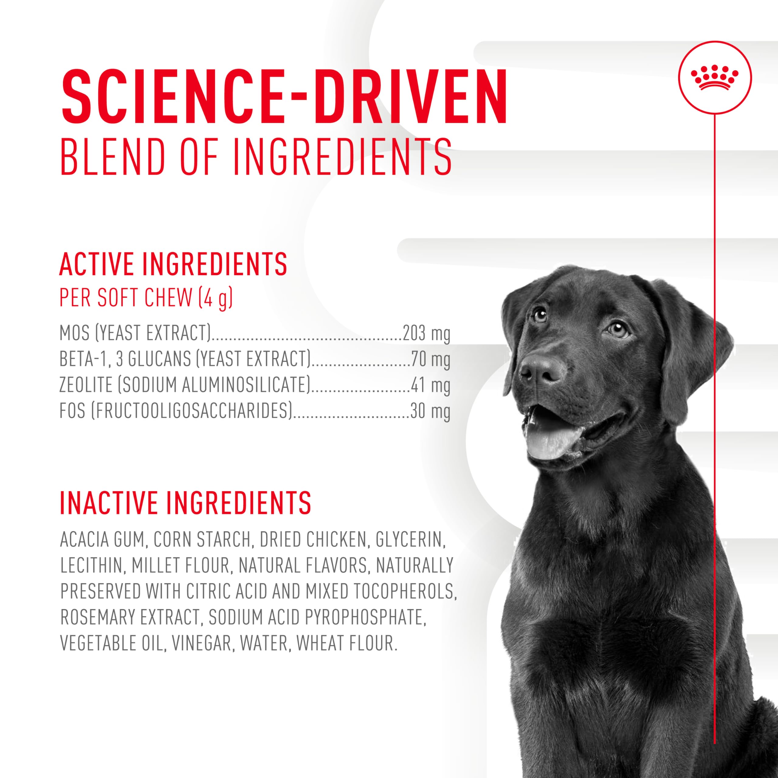 Royal Canin Digestive Supplement Soft Chews for Adult Dogs 8.47 oz (60 Count)