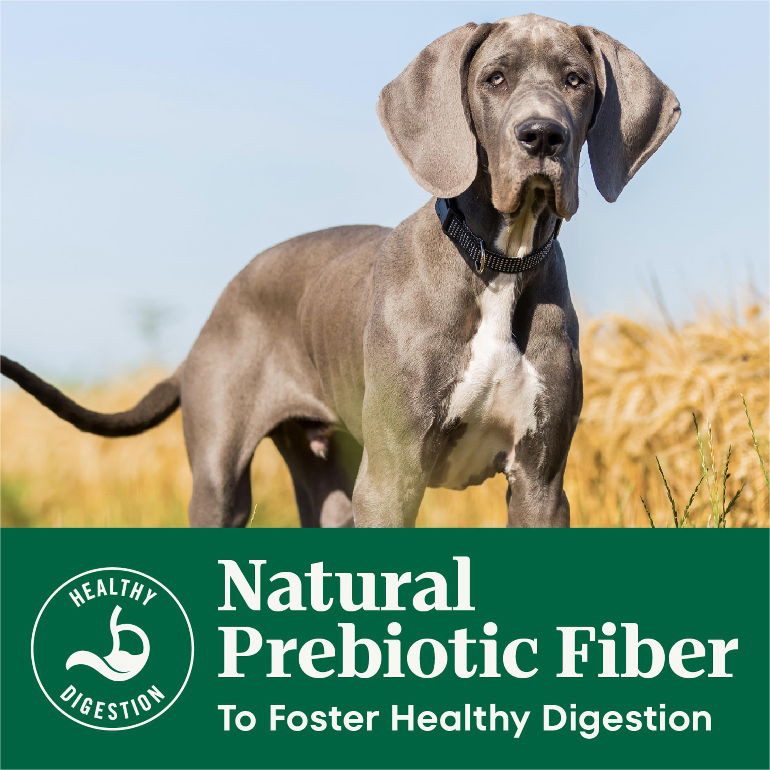 Nutro Natural Choice Puppy Dry Dog Food, Lamb and Brown Rice Recipe, 45 lbs.