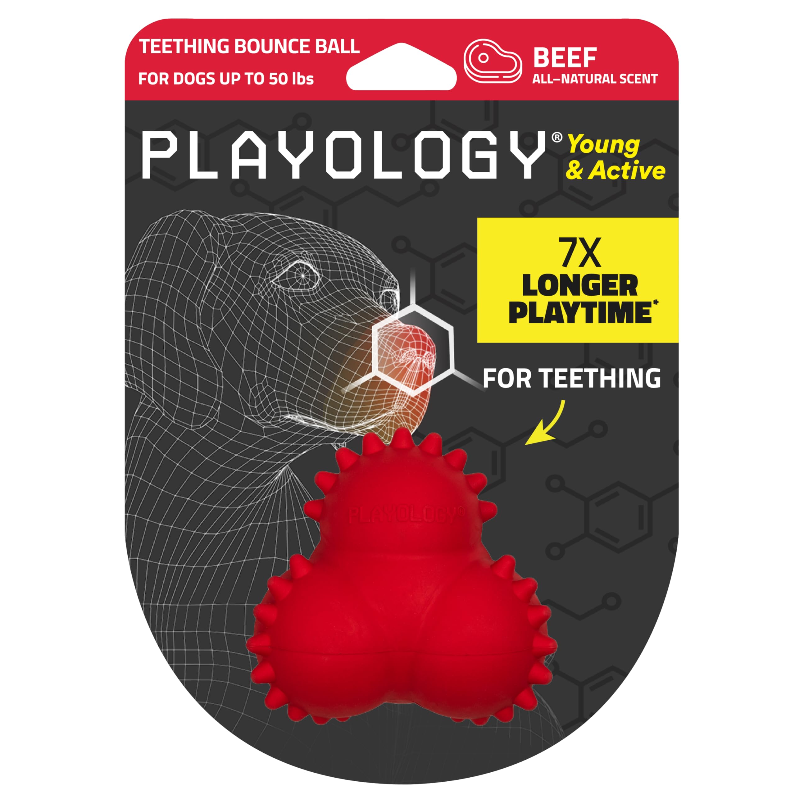 Playology Puppy Bounce Ball Dog Toy For Young & Active Dogs | Engaging All-Natural Beef Scented Medium Sized Chew Toy With Squea