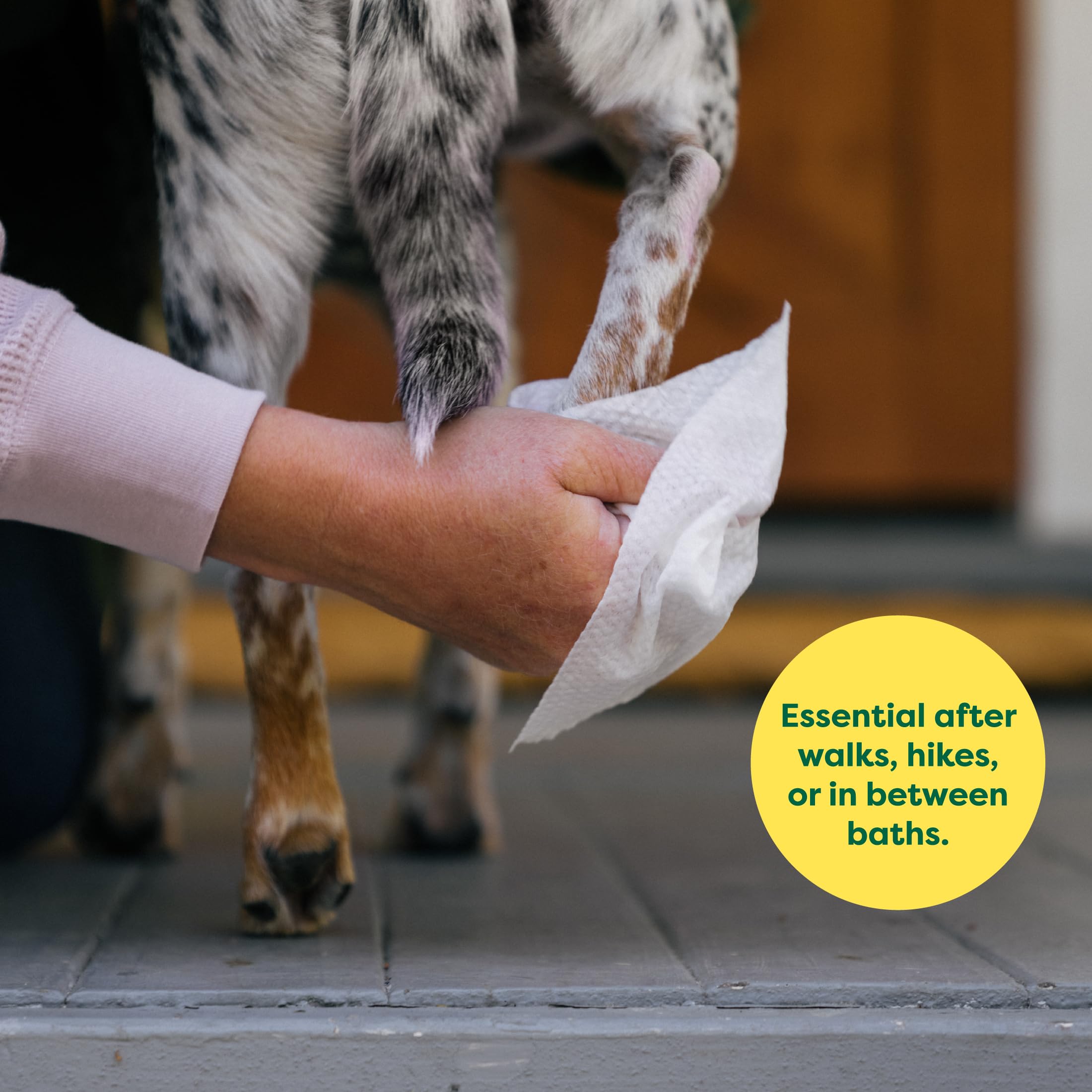 Earth Rated Hypoallergenic Dog Wipes, Cleaning And Odor-Controlling Grooming For Paws, Body, And Butt, Perfect For Puppy And Adult Dogs, Lavender Scent, 400 Count