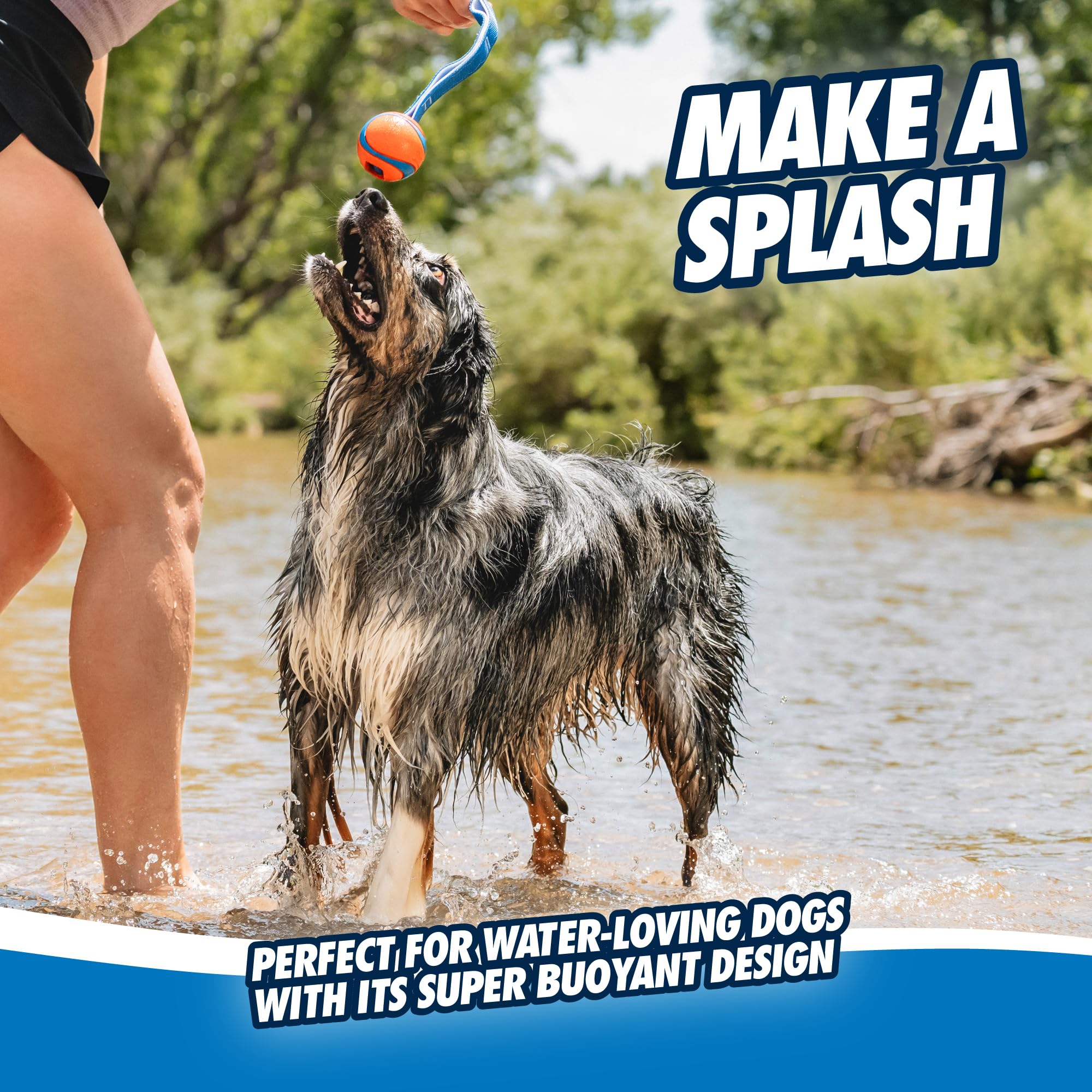 Chuckit! Ultra Tug Dog Toy - Medium Rubber Fetch Ball for Dogs 20-60 lbs - Blue/Orange - Model 231201