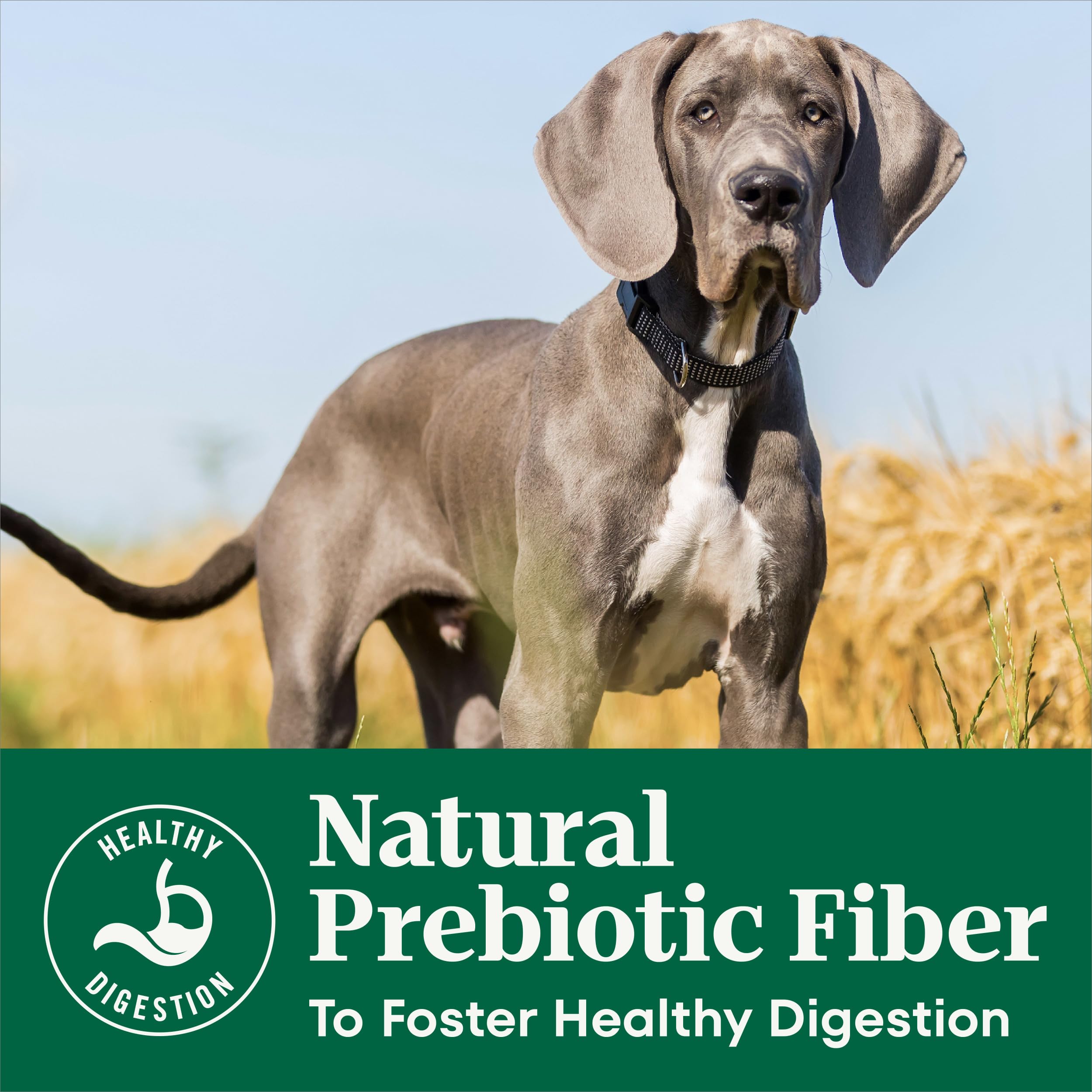 Nutro Natural Choice Puppy Dry Dog Food, Chicken and Brown Rice Recipe, 13 lbs.