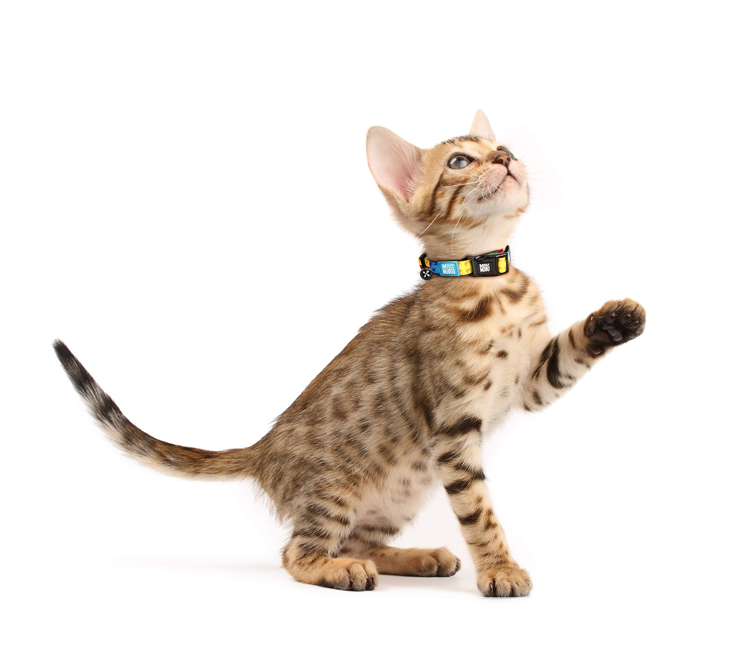 Max & Molly Fun & Whimsy Cat Collar with Jingle Bell, Breakaway Safety Buckle, Adjustable Sizing & Smart ID Personalized Tag for