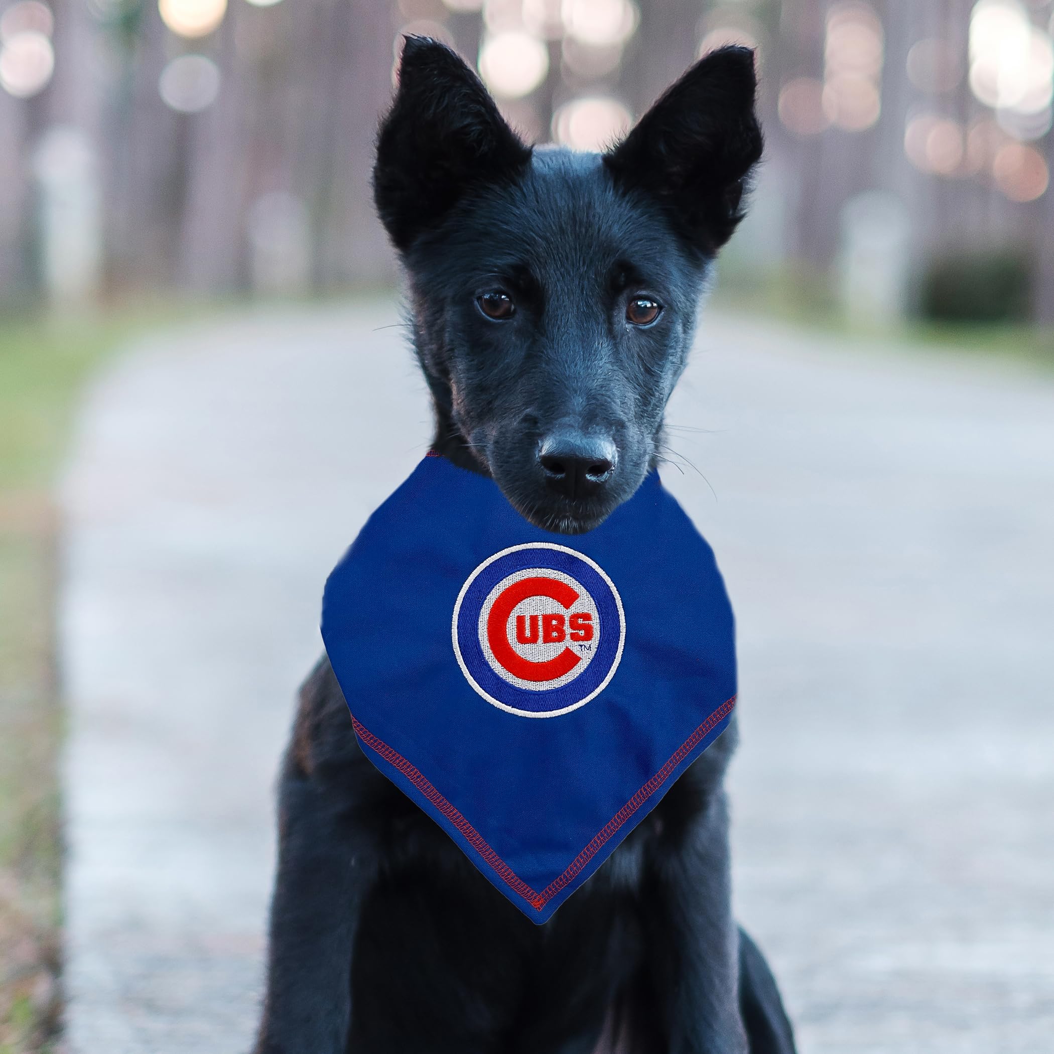 Pets First Mlb Chicago Cubs Tie Bandana, Large/X-Large. Dog Bandana Scarf Bib For Pet Cat Dog. The Ultimate Game-Day, Party Band