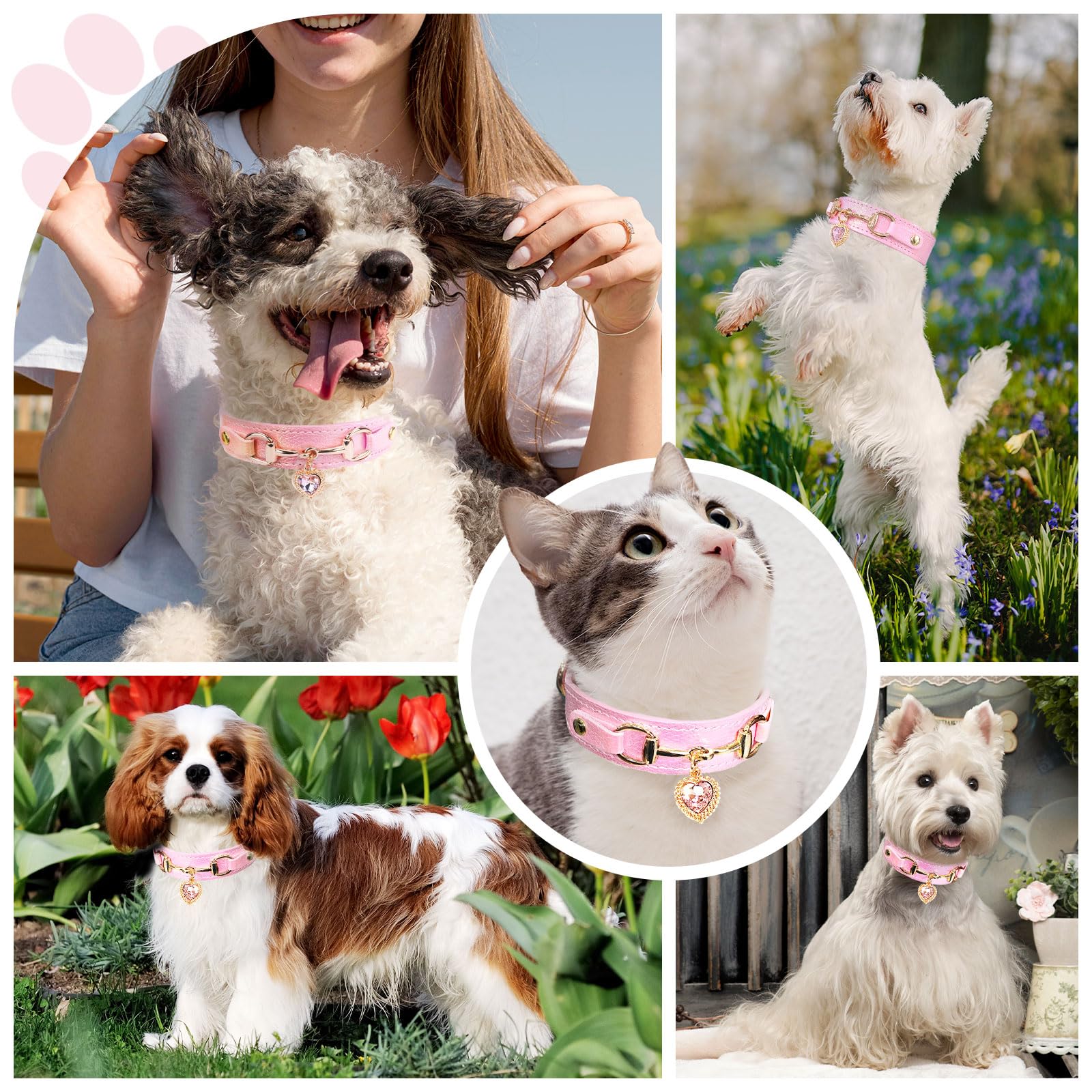 Petcare Cute Small Dog Cat Collar, Unique Pu Leather - Bling Sparkle In The Sunlit, Puppy Collars With Rhinestone Heart Pendant,