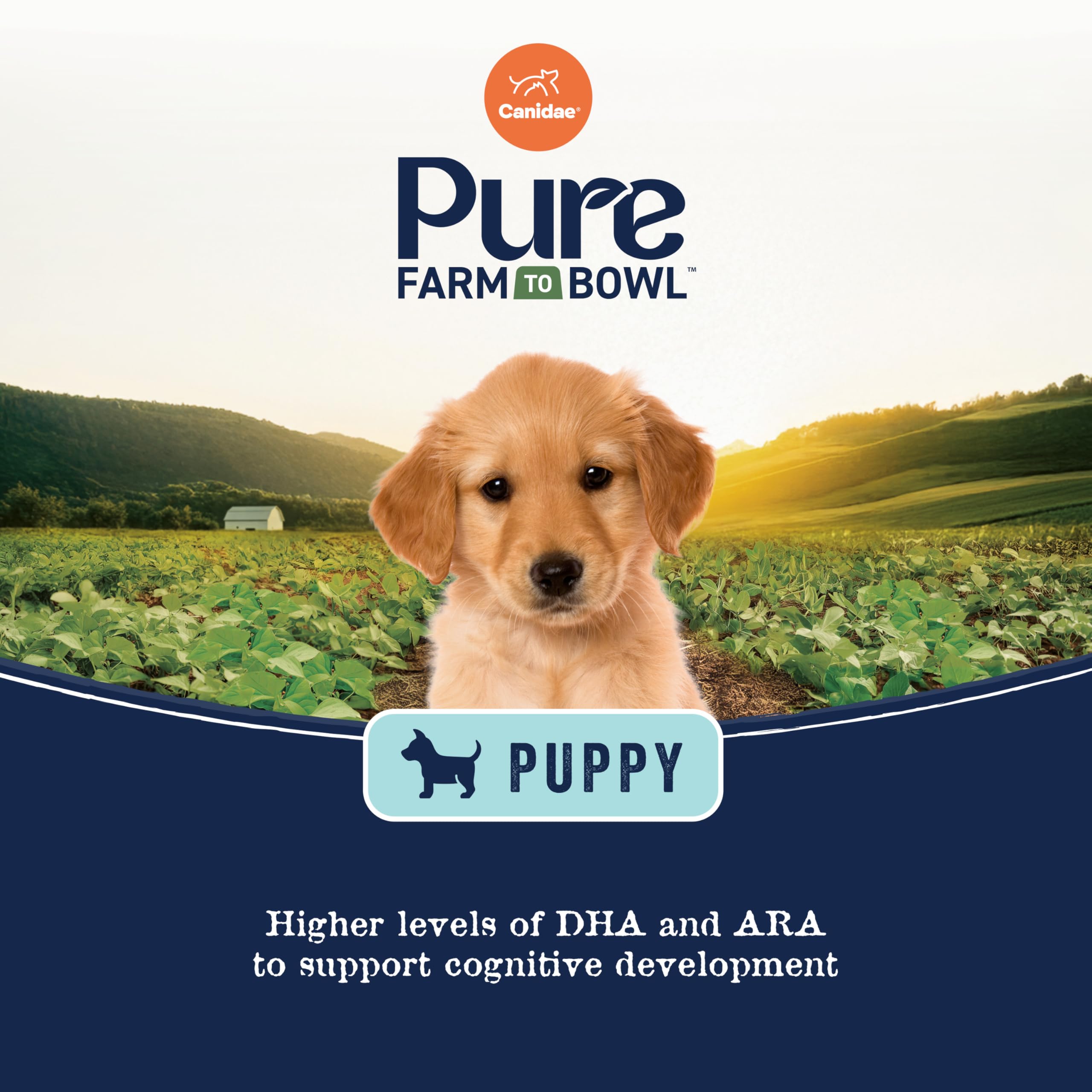 Canidae Pure Grain Free Dry Puppy Food, Real Salmon & Sweet Potato, 4 lbs.