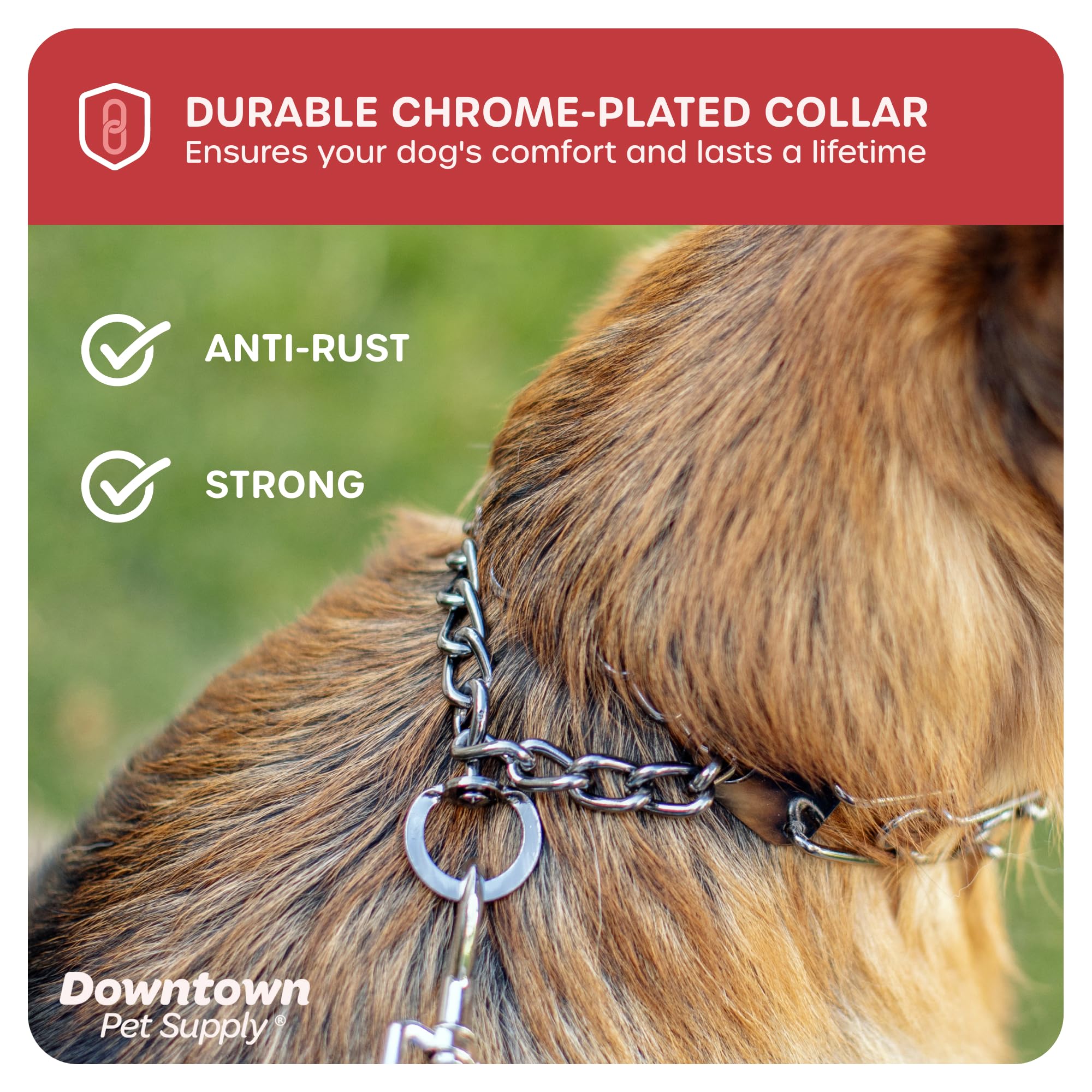 Downtown Pet Supply Chrome Plated Prong Collar For Dogs, Small - Adjustable, No-Choke And No Pull Dog Collar With Removable Links - Pinch Collar For Dogs Under 20 Lbs And 14' Neck Width