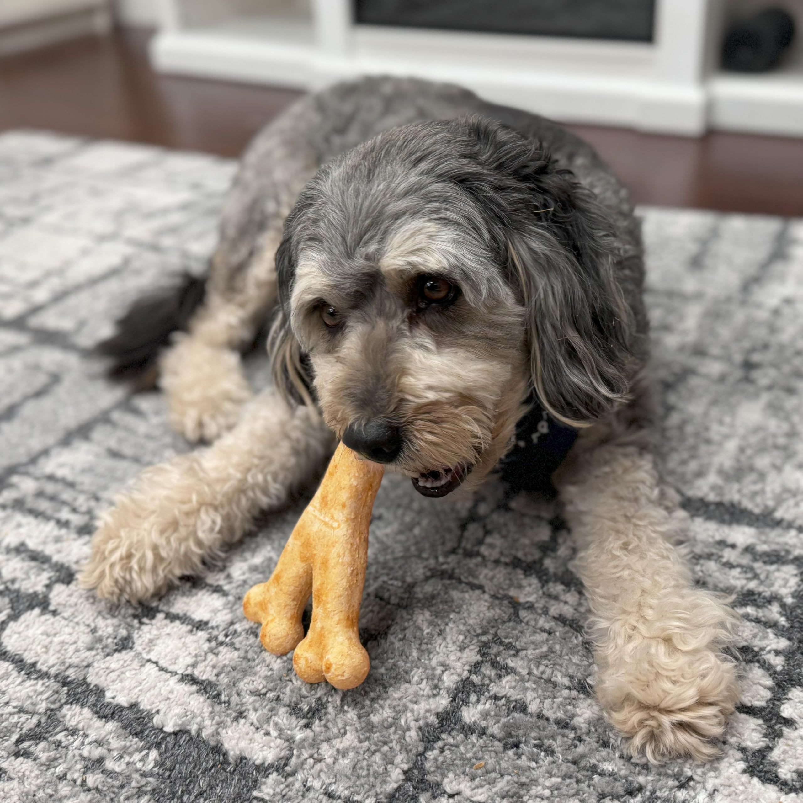 Fieldcrest Farms Nothin to Hide Collagen-Based Dog Chews, Wishbone, Beef Flavor, Ultra-Premium, for Dogs Over 50lbs, Easily Dig