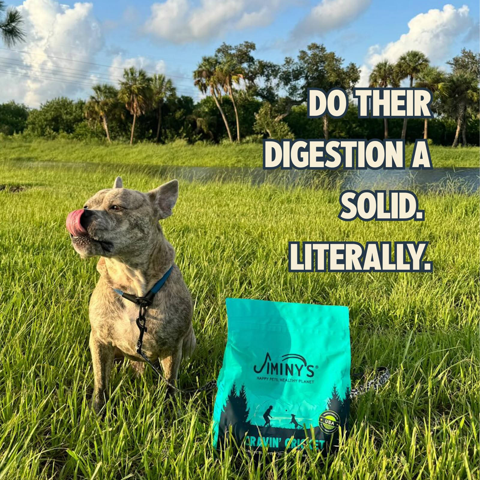 Jiminy's Cravin' Cricket Dry Dog Food - Sensitive Stomach, Probiotic, 24lb Bag, Hypoallergenic, Made in USA