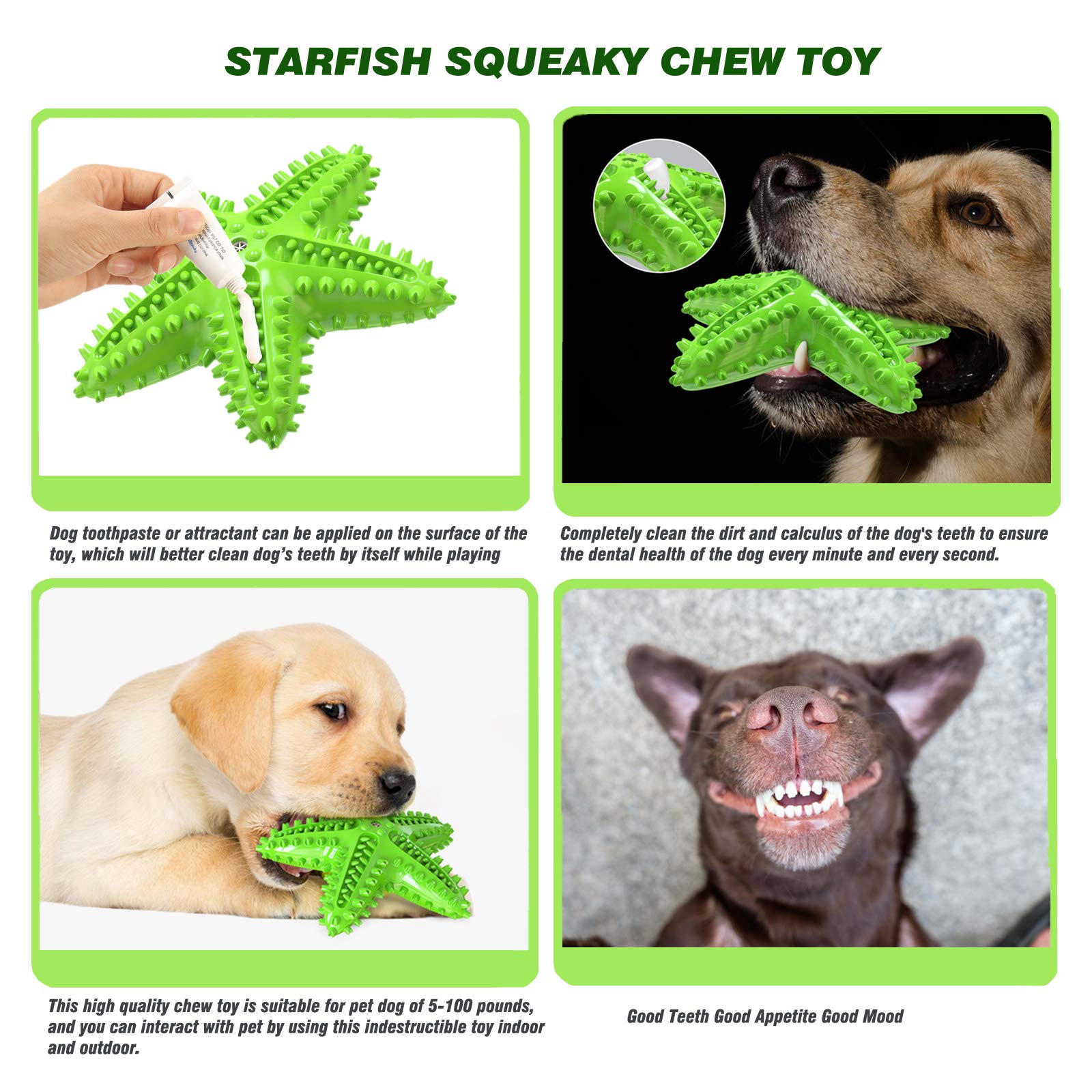 Idolpet Squeaky Chew Toy - Starfish Water Floating Toy For Dogs, Natural Tooth Brush Teeth Cleaning For Small Medium Dogs - Blue