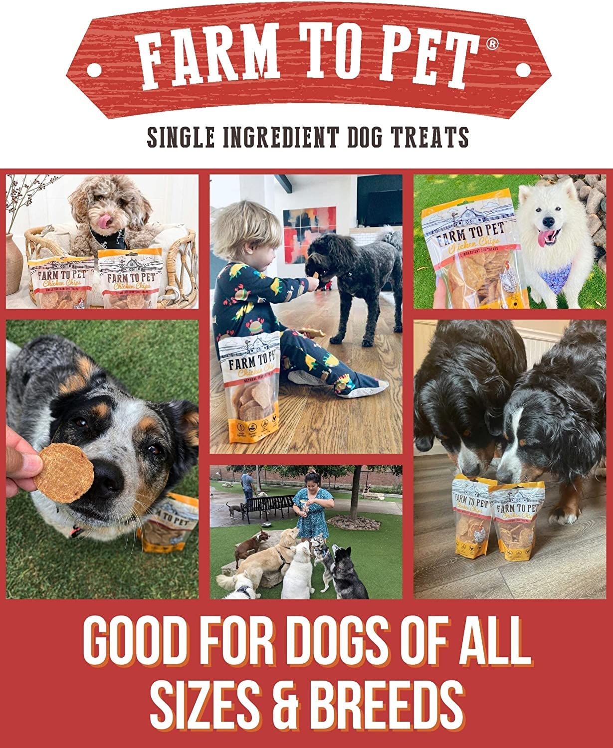 Farm To Pet Dog Training Treats, Healthy Turkey Chips for Dogs - 4 oz, 100% Human Grade Turkey Breast, All Natural, Single Ingre