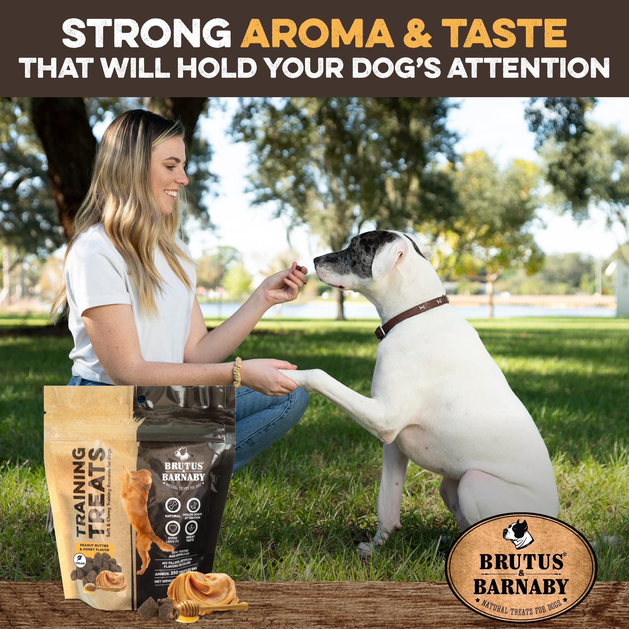 BRUTUS & BARNABY Training Treats for Dogs - Peanut Butter & Honey - All-Natural Healthy Low Calorie Vegetarian Treat - Great to