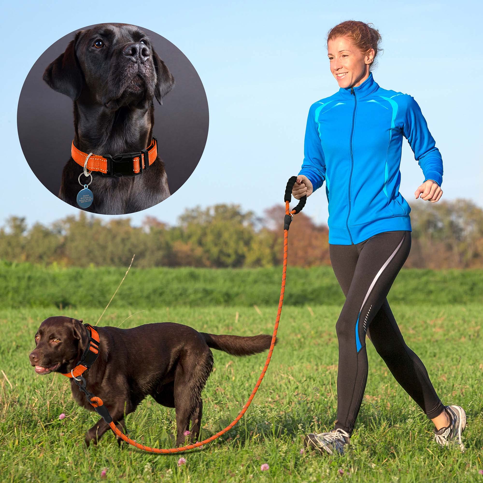 Ladoogo Reflective Dog Collar Padded With Soft Neoprene Breathable Adjustable Nylon Dog Collars For Small Medium Large Dogs (X-Small (Pack Of 1), Orange Collar+Leash)