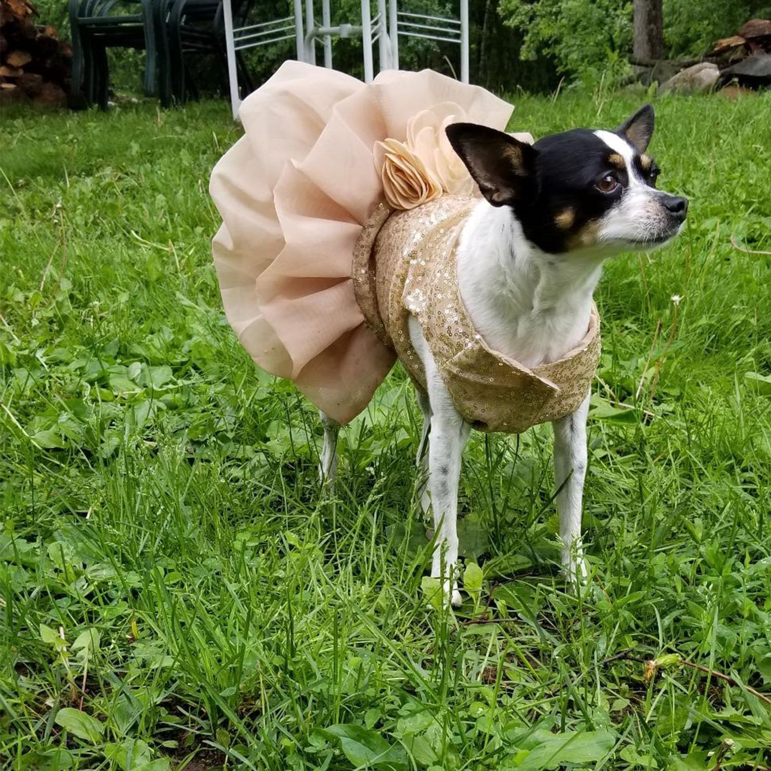 Bling Dog Dress Tutu Skirt Flower Dog Pet Cat Luxury Princess Wedding Dress Summer Dog Chihuahua Clothes (Gold, Small(Pet 4-6Lbs