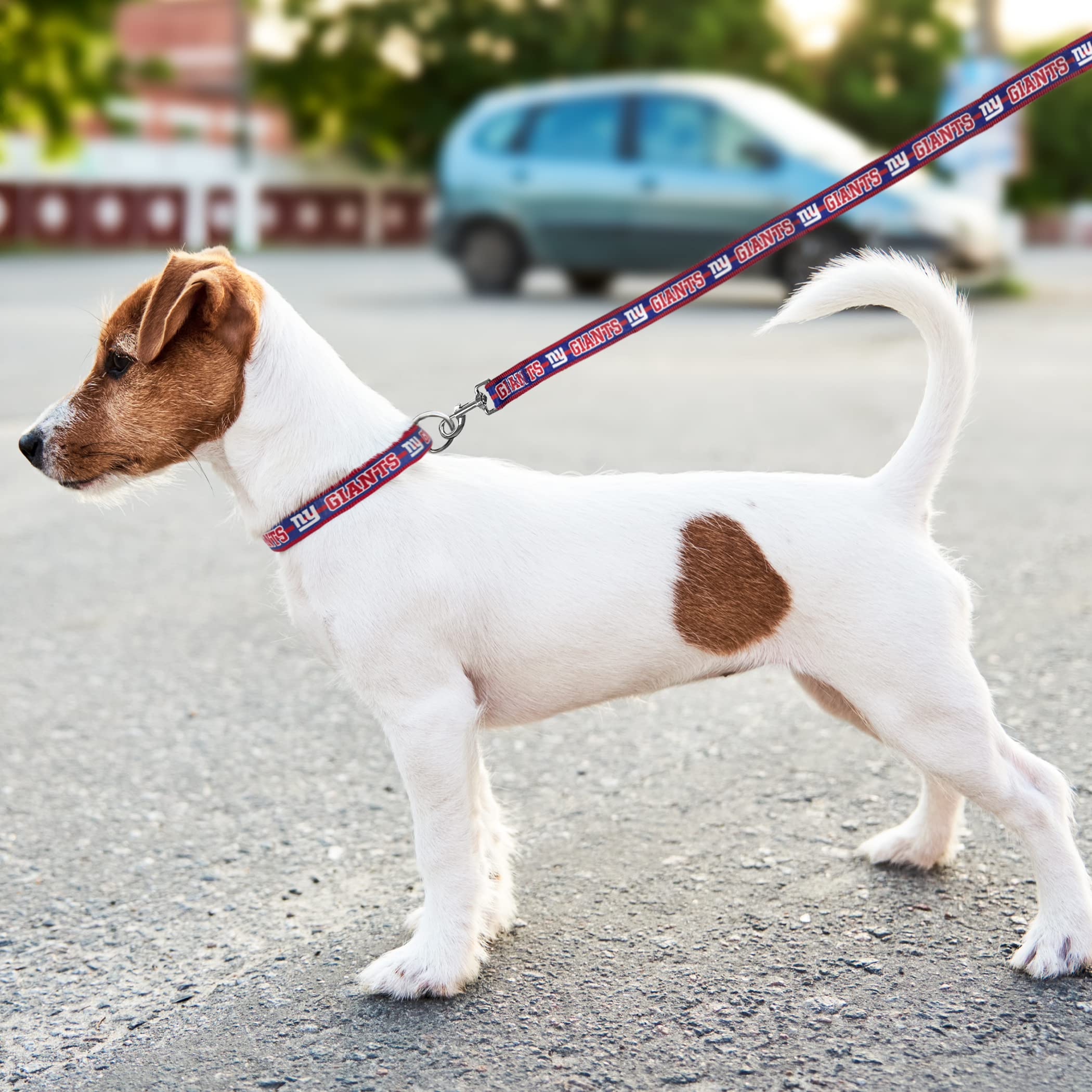 Pets First NFL New York Giants Licensed PET COLLAR, Small - Heavy-Duty, Strong, and Durable Dog Collar. Available in 31 Football