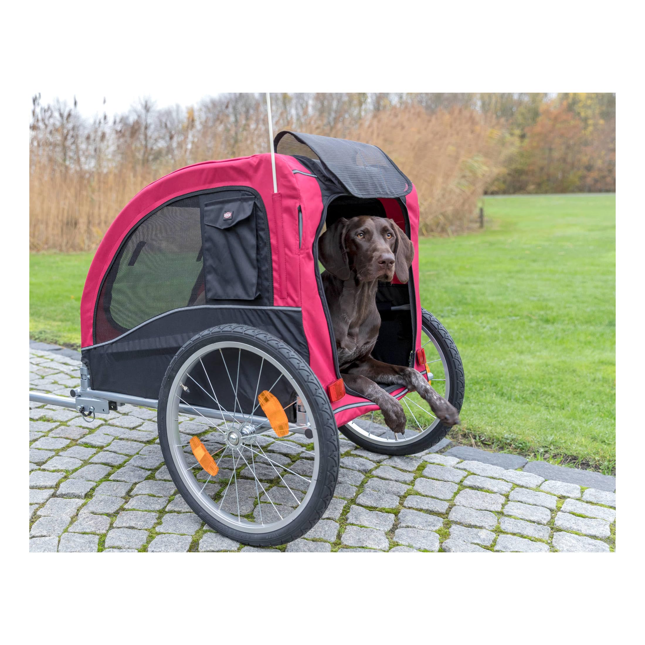 TRIXIE Dog Bike Trailer & Stroller for Medium Dogs up to 66 lbs, Quick Set-up, Red, Model 12816, Aluminum Construction