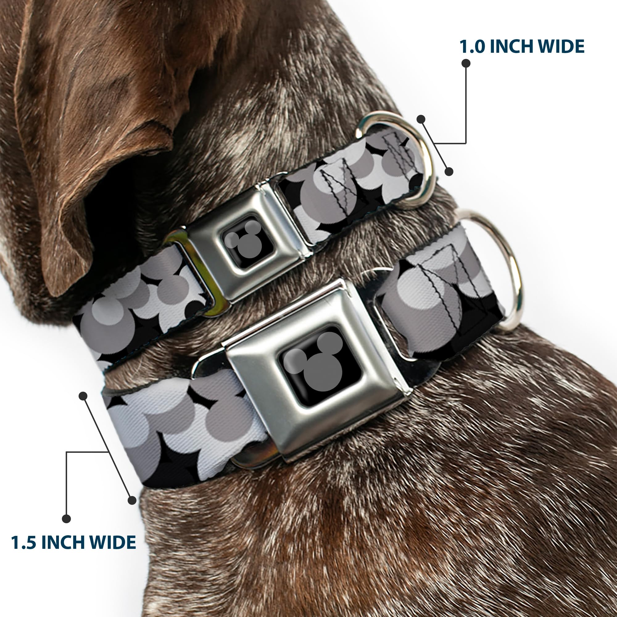 Dog Collar Seatbelt Buckle Mickey Mouse Head Stacked Black Grays 18 To 32 Inches 1.5 Inch Wide, Dc-Wdy349-Wl
