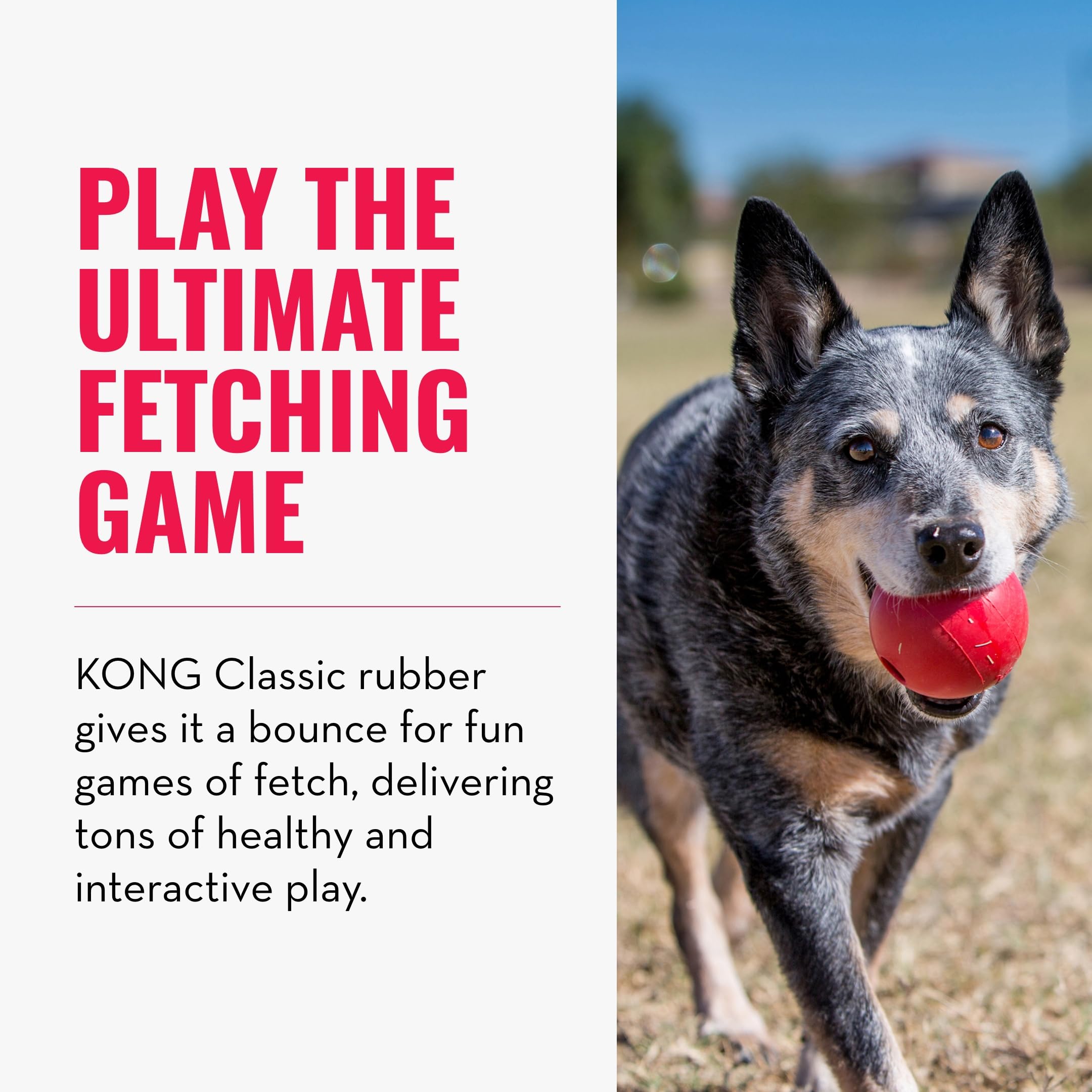 KONG Ball with Hole - Durable Dog Fetch Toy for Training, Interactive Playtime & More - Classic Natural Rubber Ball - Red - for