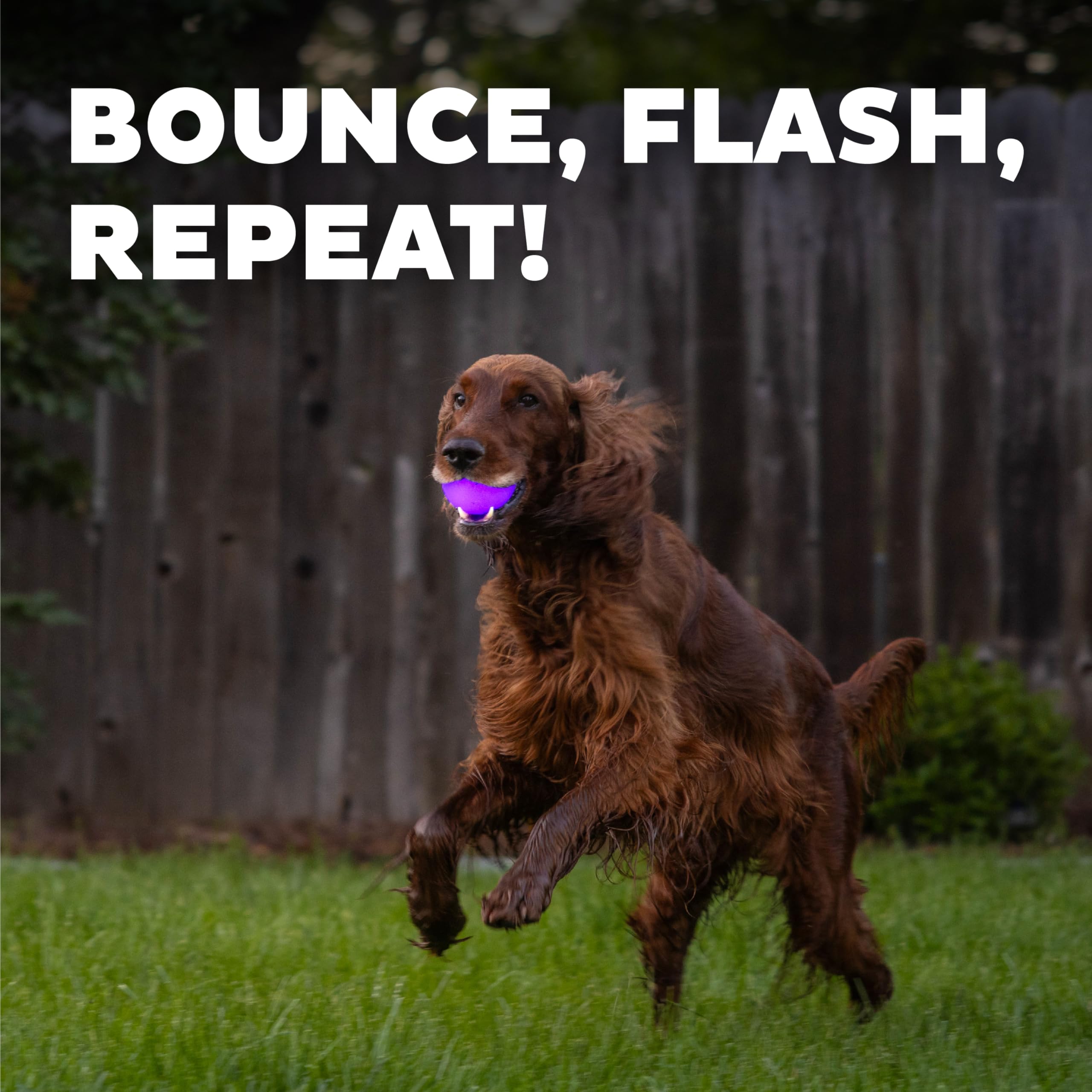 Outward Hound By Planet Dog Strobe Light Up Led Ball Dog Toy, Purple