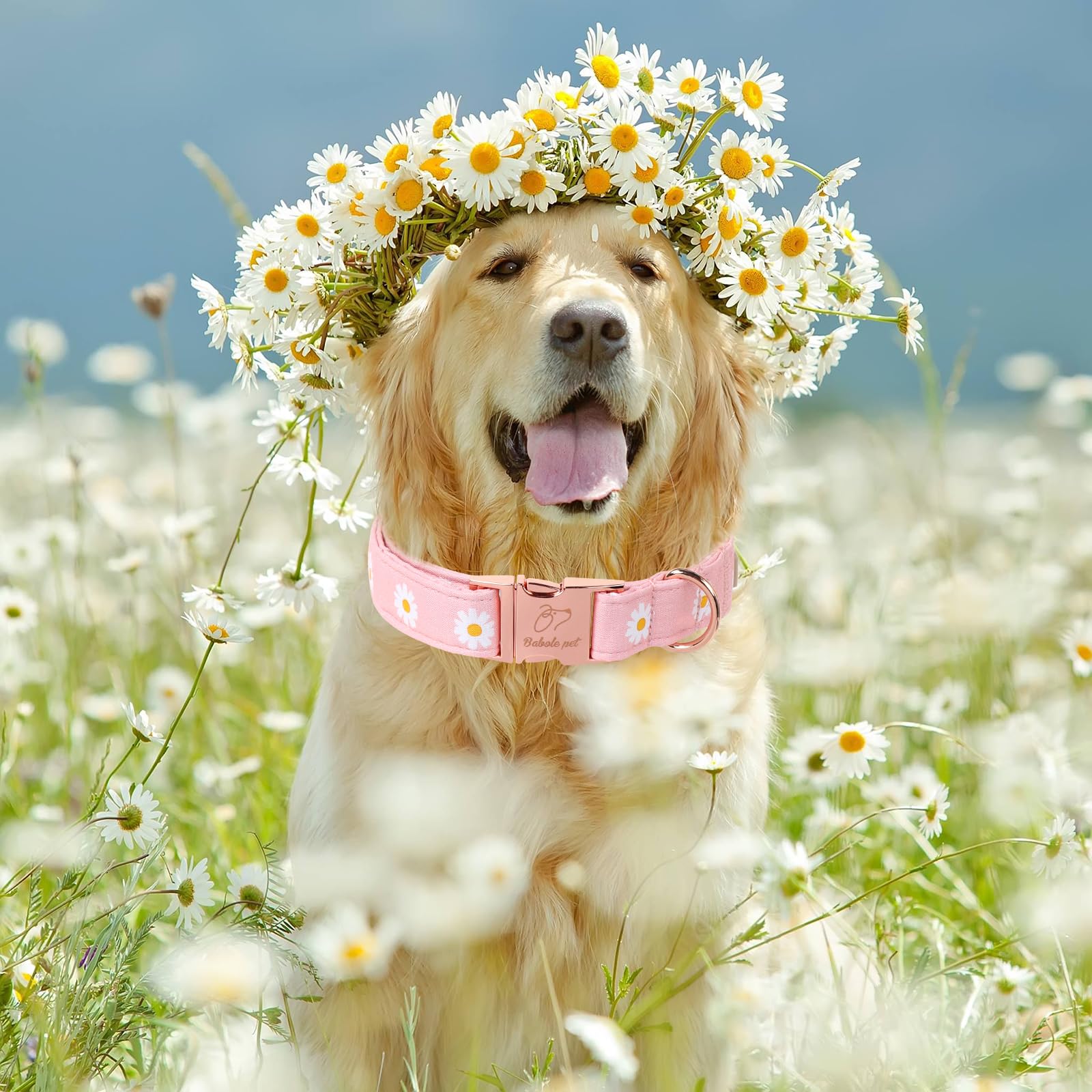Babole Pet Spring Dog Collar, Cute Pink Daisy Femal Pet Collar With Metal Buckel, Durable Adjustable Designer Dog Collars For Sm