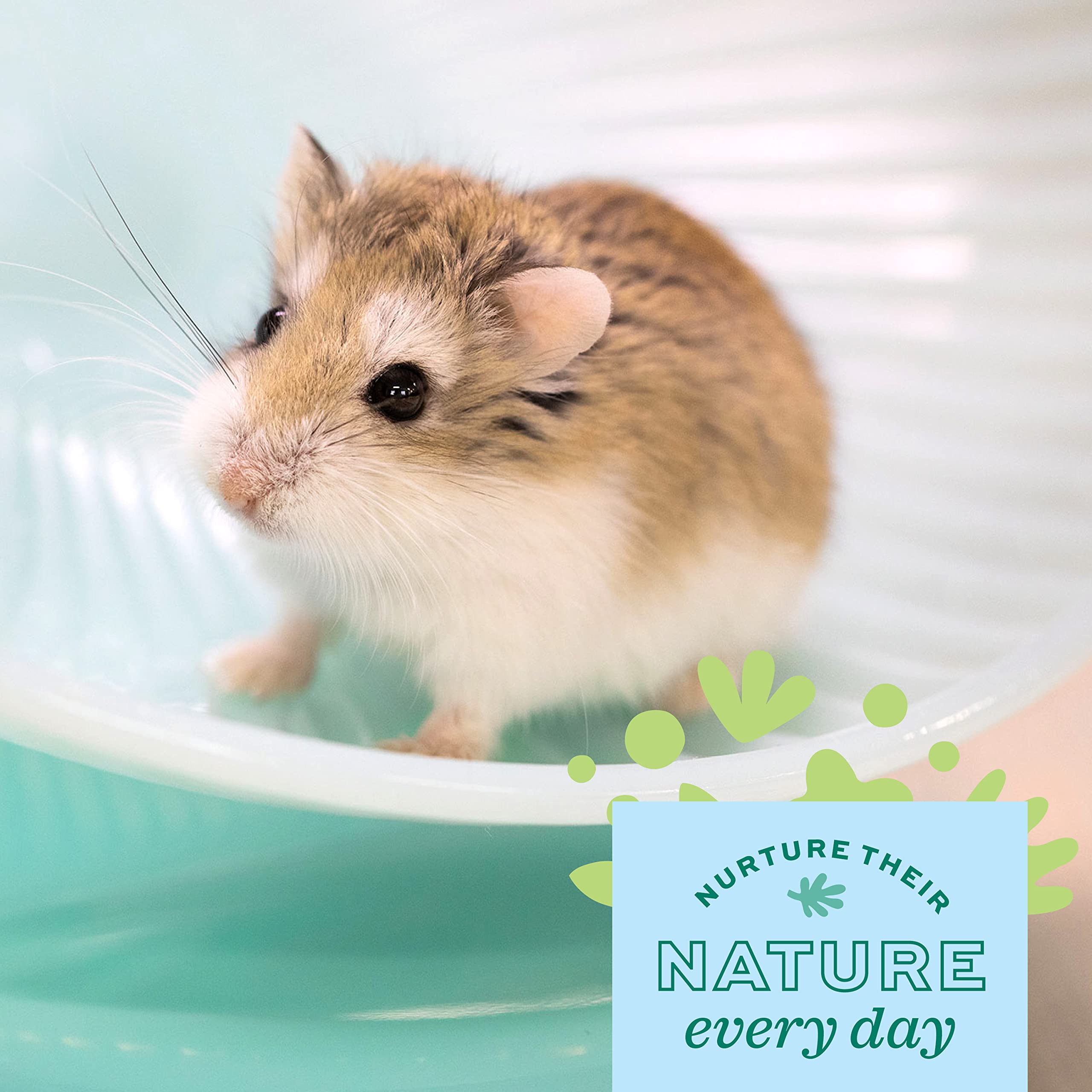 Oxbow Enriched Life Small Animal Accessories - Exercise Wheel For Dwarf Hamsters & Mice - 2 In 1 Quiet Runner - 8 Inch