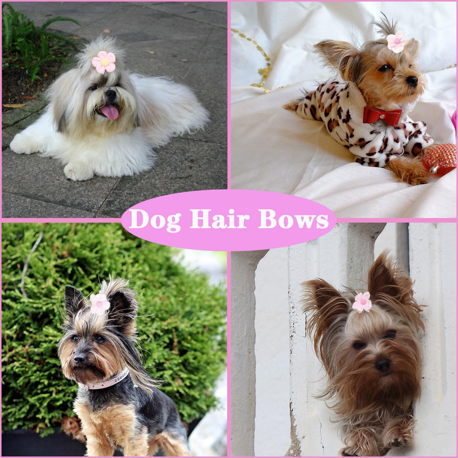 Zaabaazina 20Pcs Dog Hair Bow Bowknot, Dog Bows Cute, Puppy Hair Bows Mix Styles Pet Grooming Rubber Bands Dogs Hair Accessories