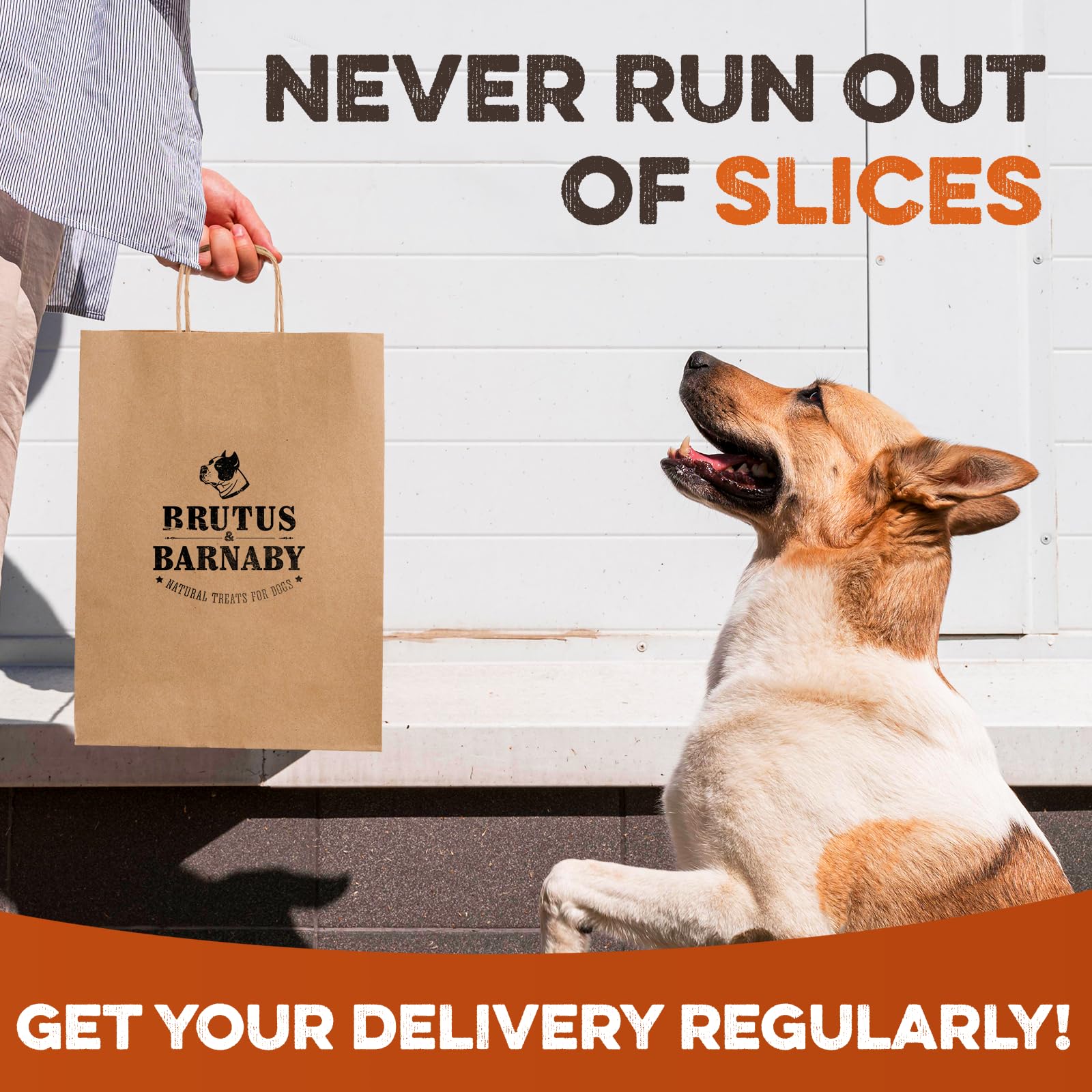 Sweet Potato Slices For Dogs - Soft & Chewy - Single Ingredient Dog Treats, Healthy 100% Natural Sweet Potato Dog Treats With No