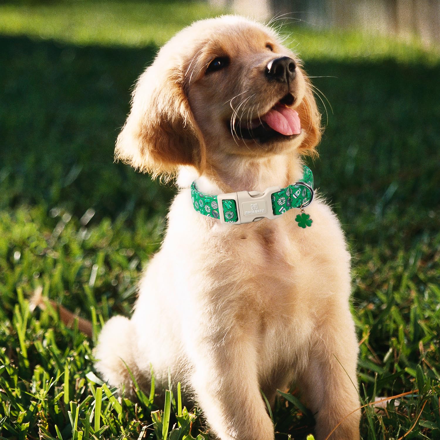Maca Bates St Patricks Day Dog Collar Irish Clover Dogs Collars Green Donut Soft Adjustable Durable Saint Patrick'S Shamrock Spr