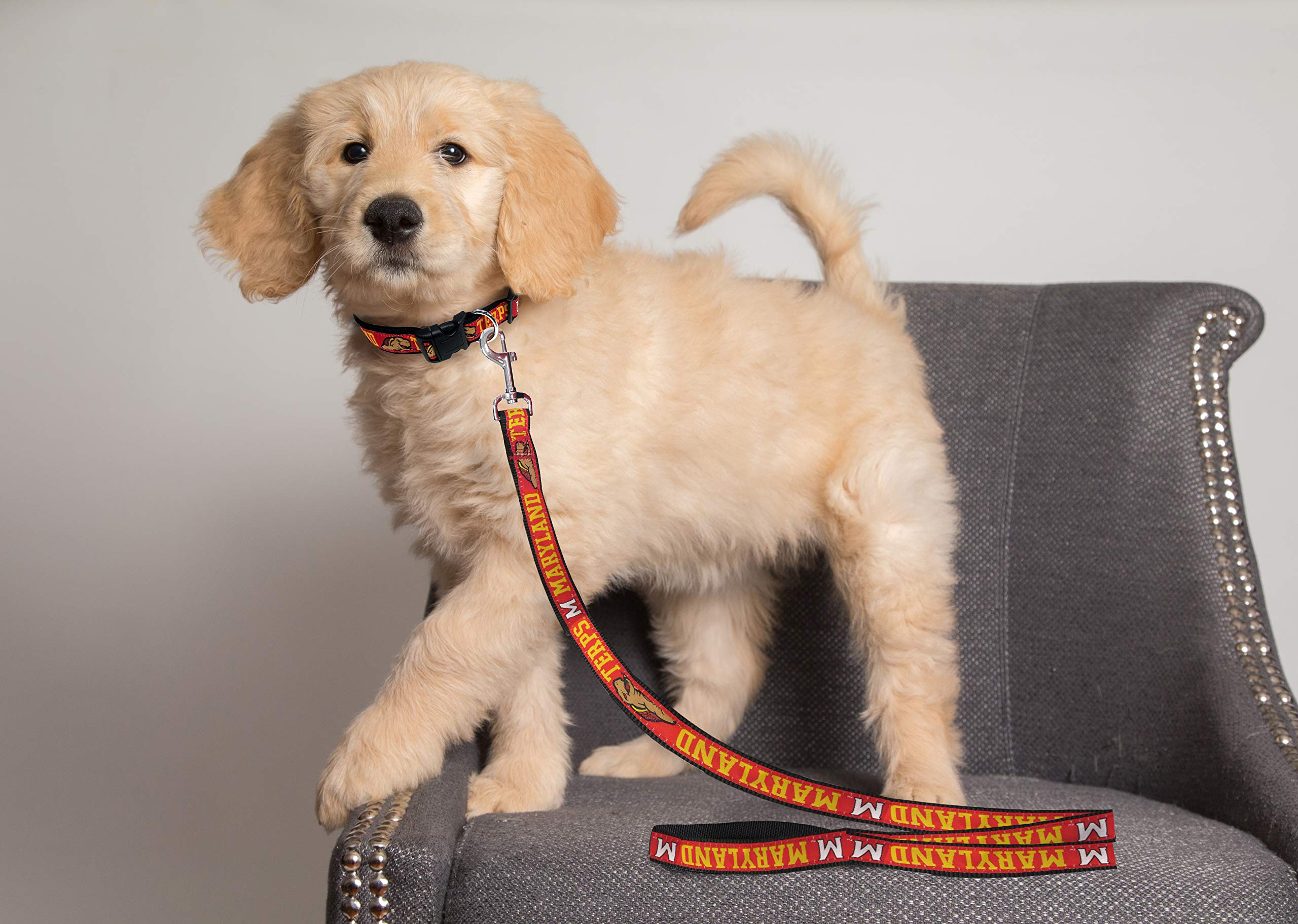 NCAA PET Leash, Large, Maryland Terrapins, Dog Leash, Shiny & Colorful Leash for Dogs & Cats Licensed by The NCAA
