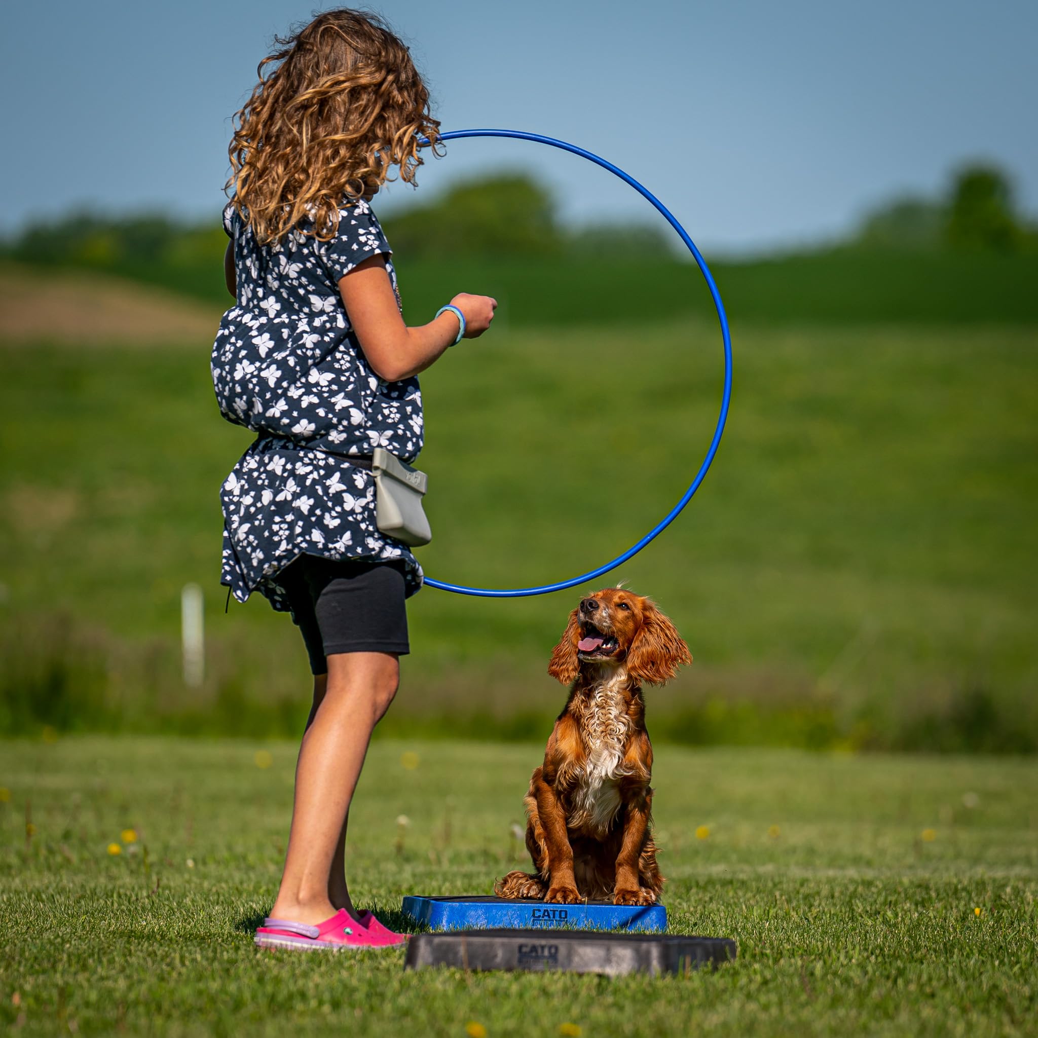 Cato Board - Dog Training Platform (Black, Rubber Surface)